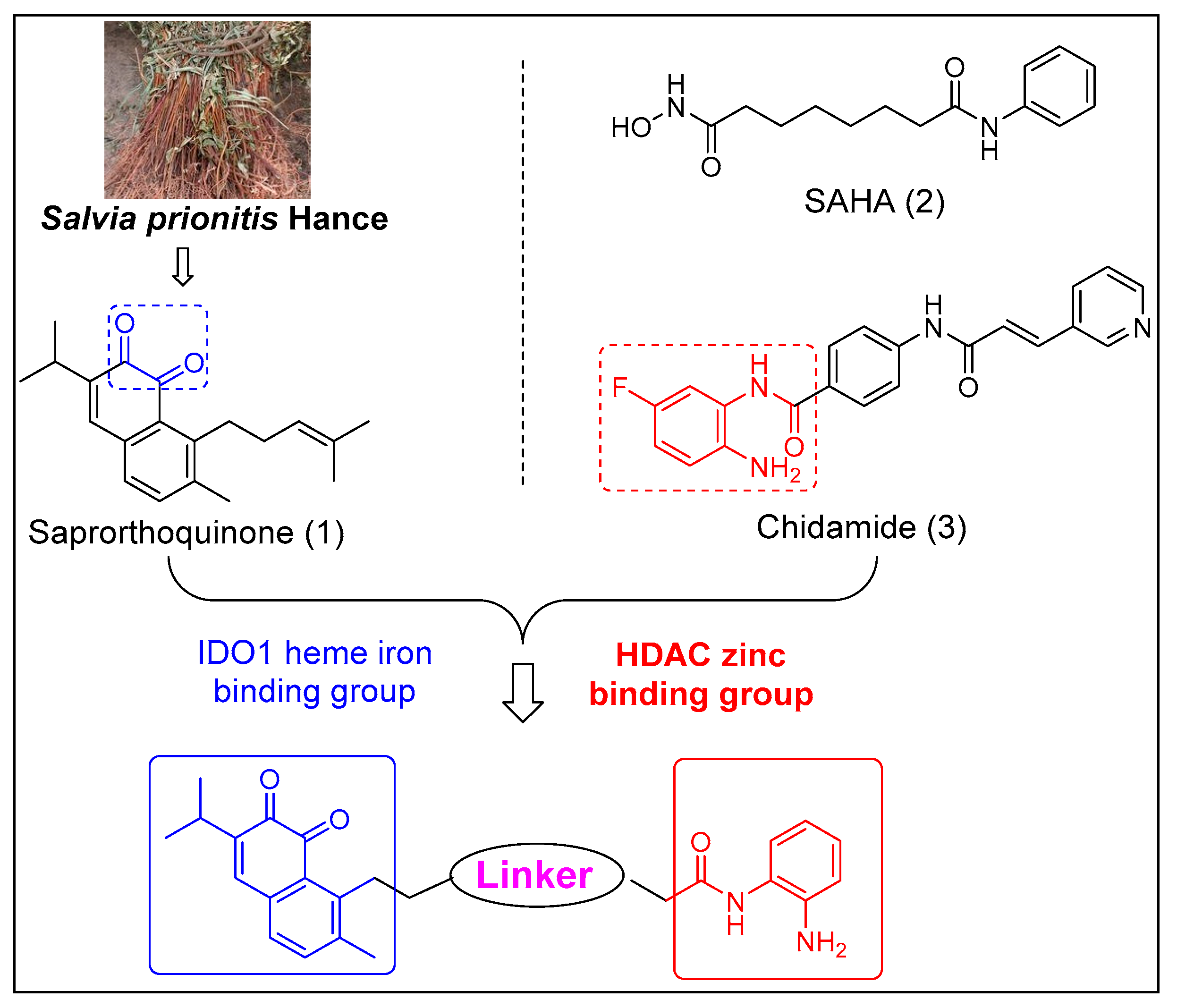 Molecules 25 04494 g001