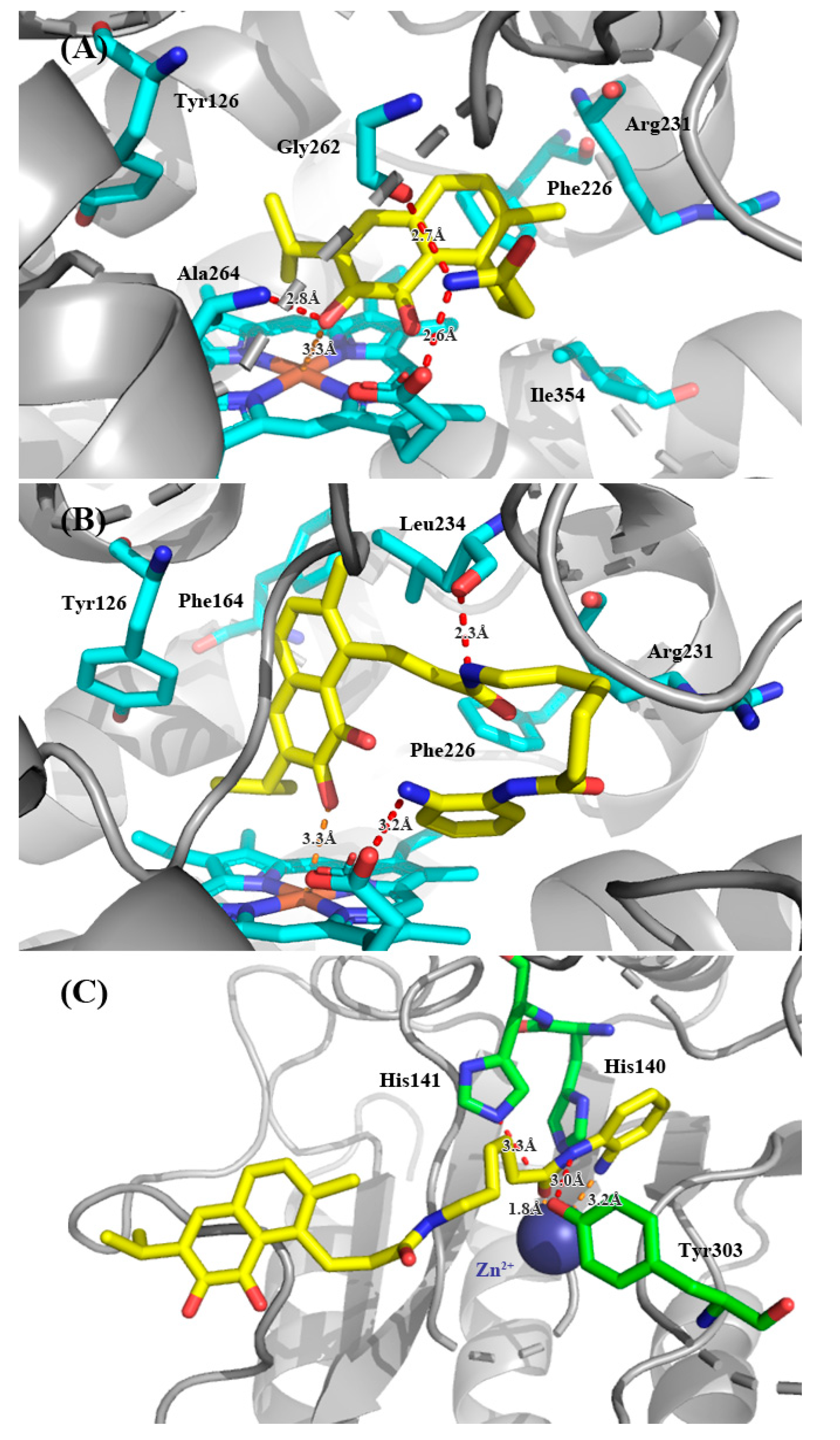 Molecules 25 04494 g003