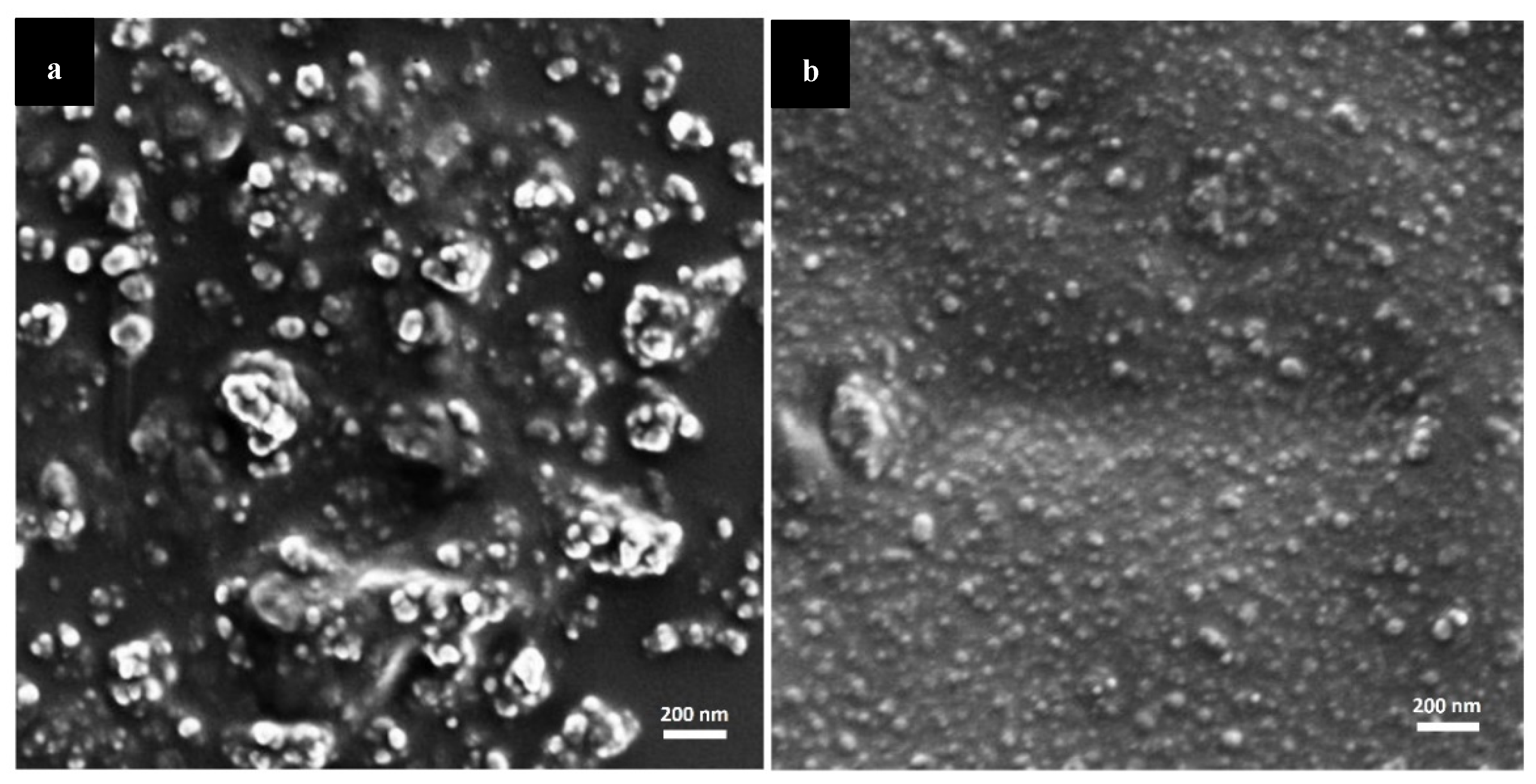 Molecules 25 04496 g001