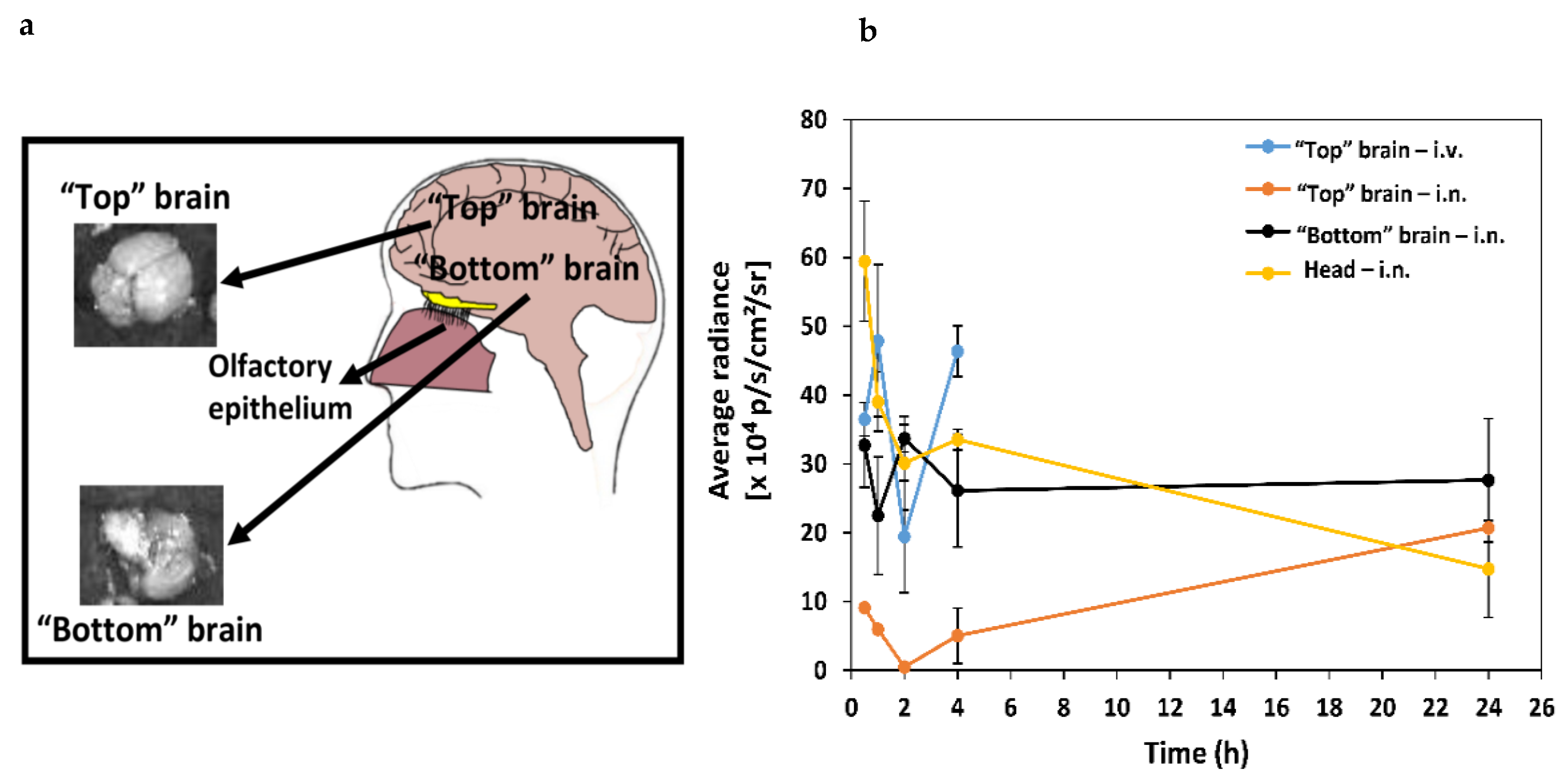 Molecules 25 04496 g003