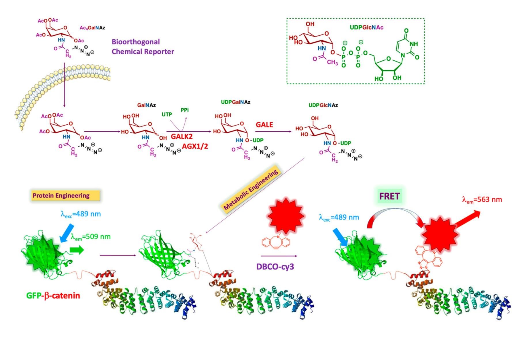 Molecules 25 04501 g001