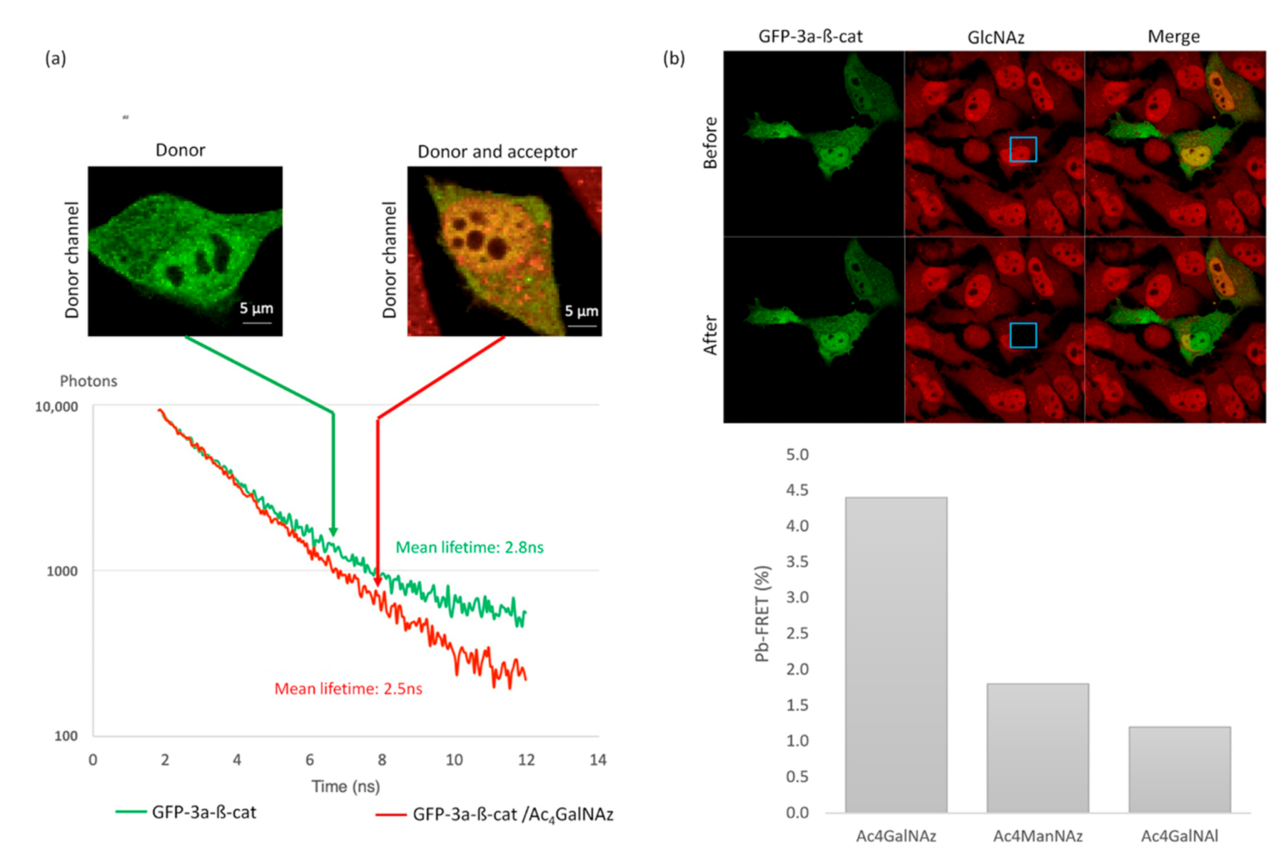 Molecules 25 04501 g005