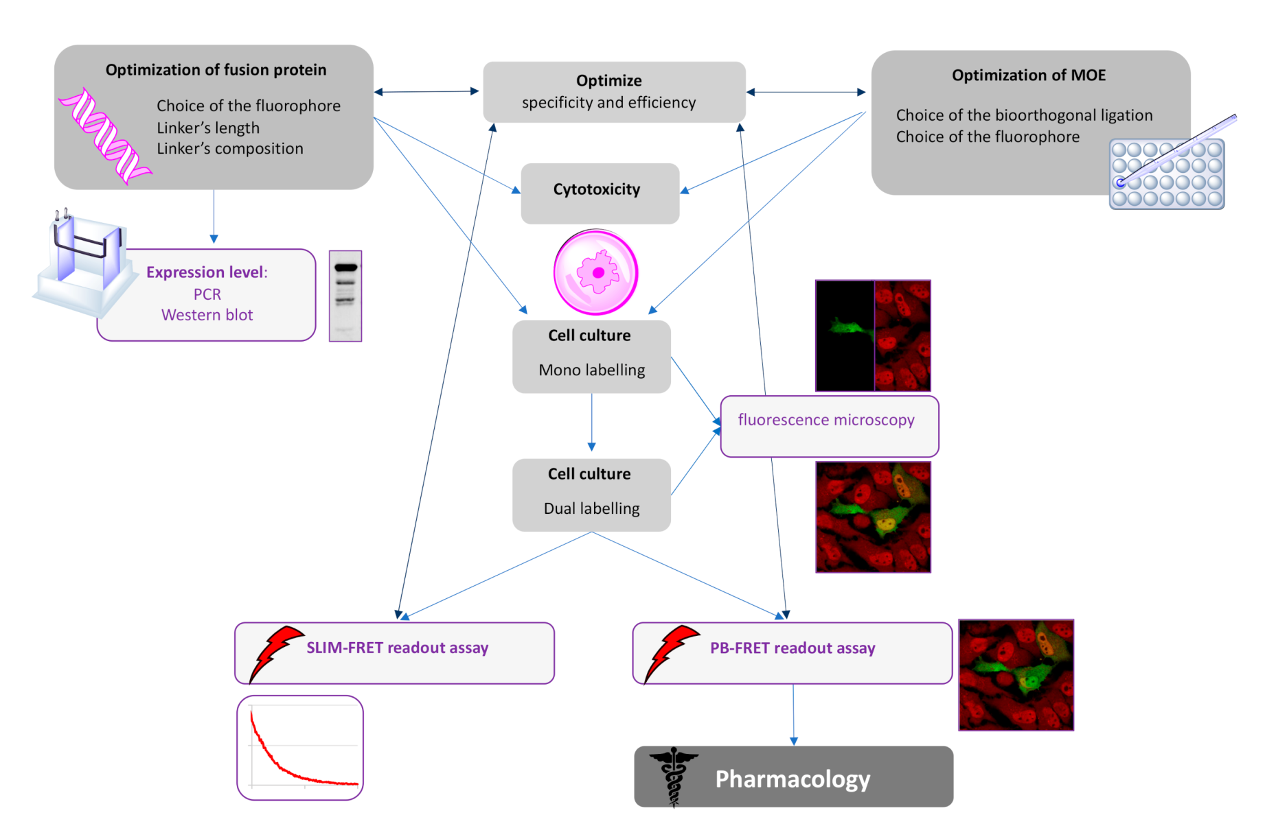 Molecules 25 04501 g007