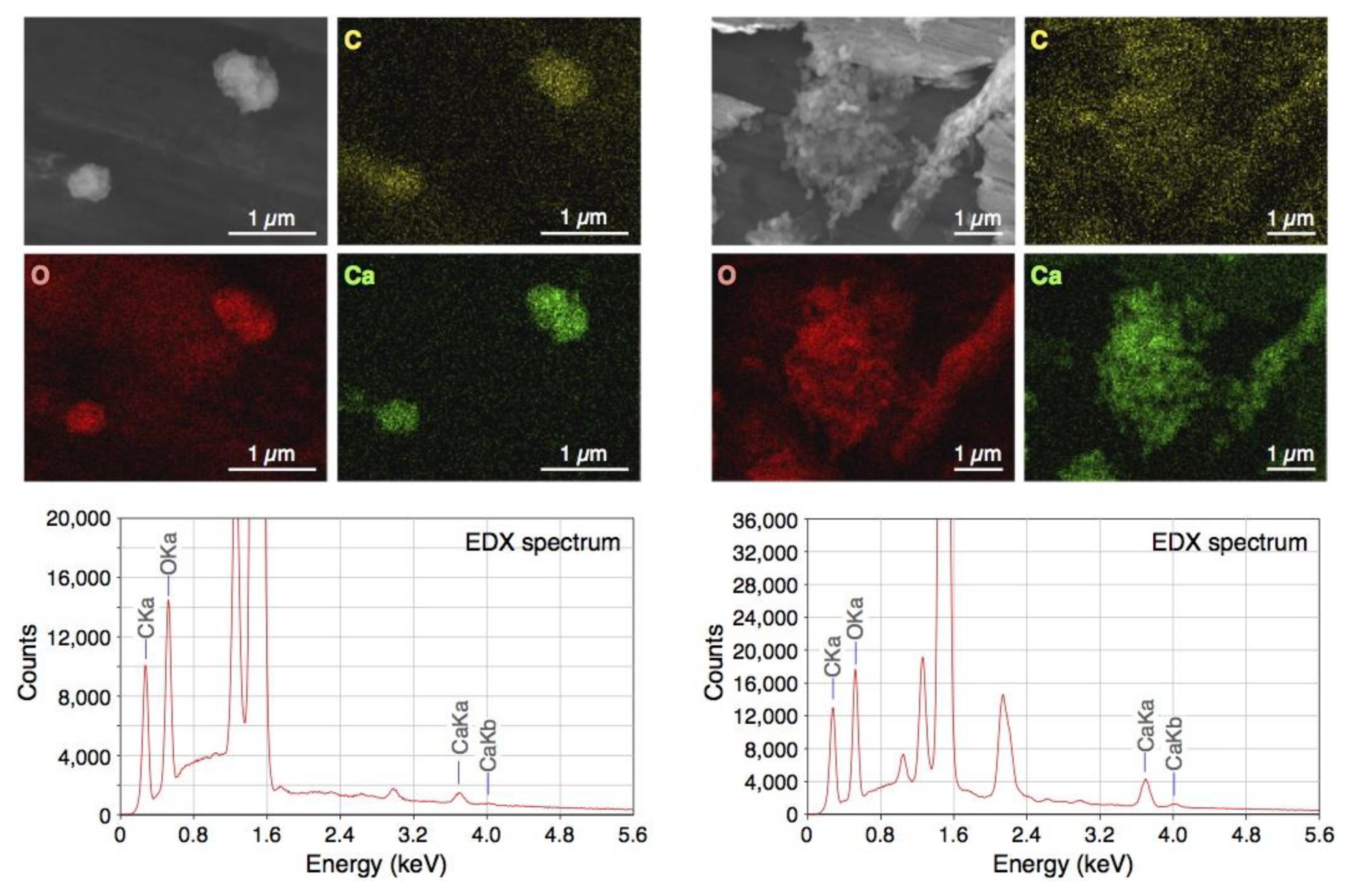 Molecules 25 04502 g001 Molecules 25 04502 g001