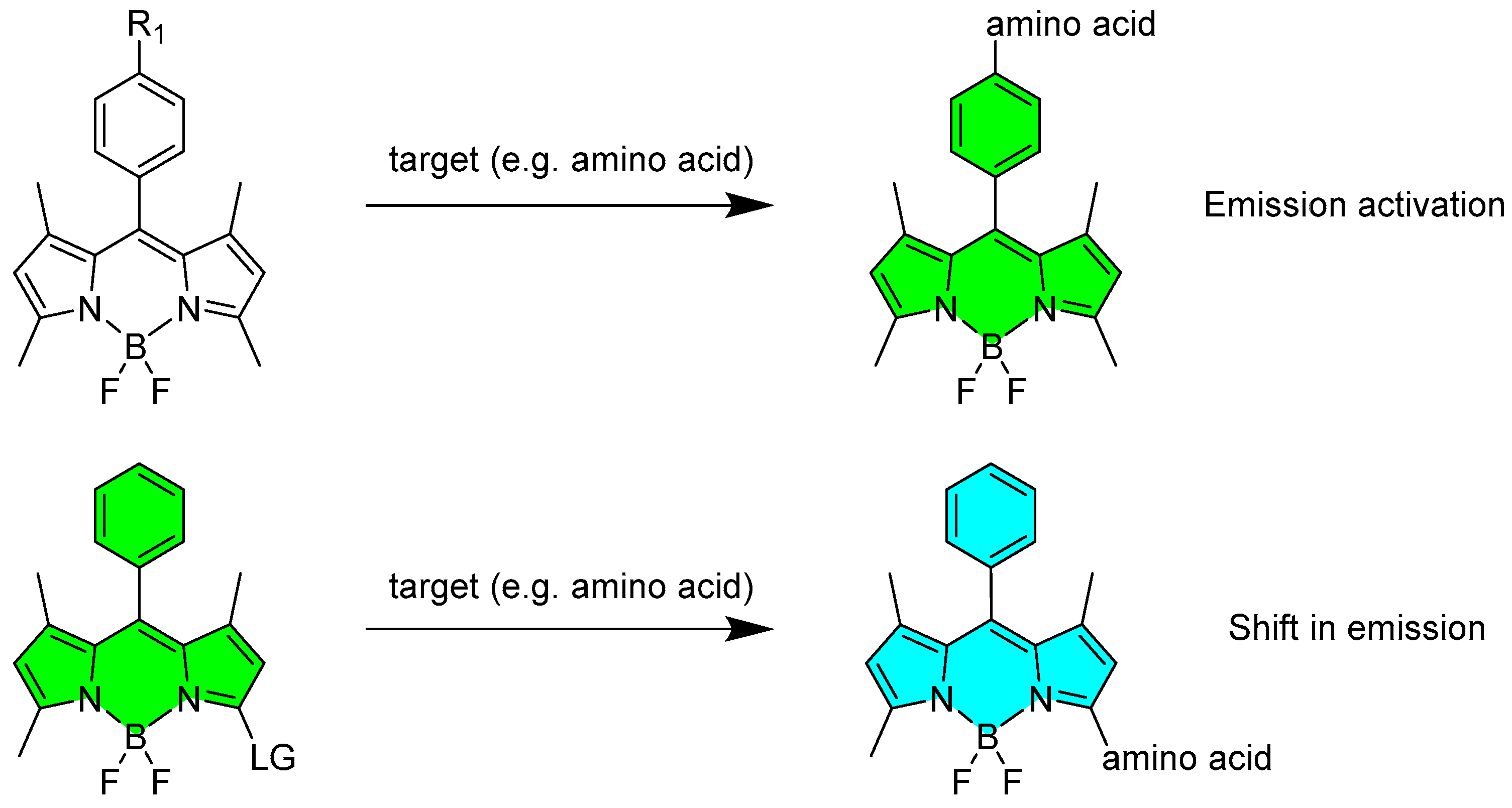 Molecules 25 04523 sch004 Molecules 25 04523 sch004