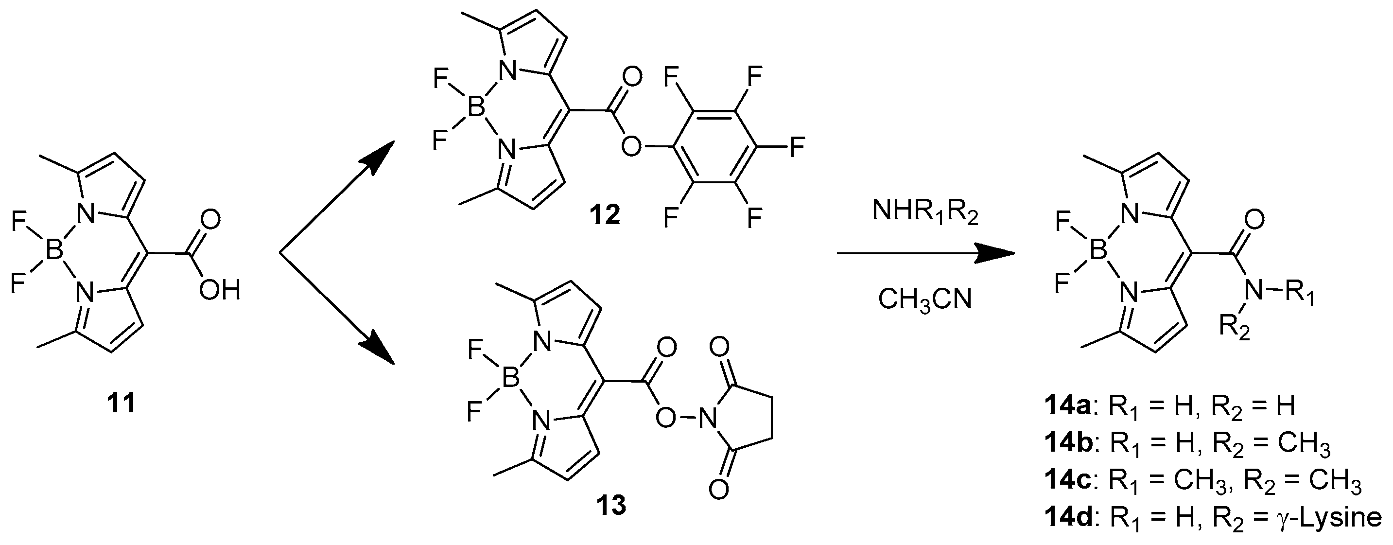 Molecules 25 04523 sch008 Molecules 25 04523 sch008