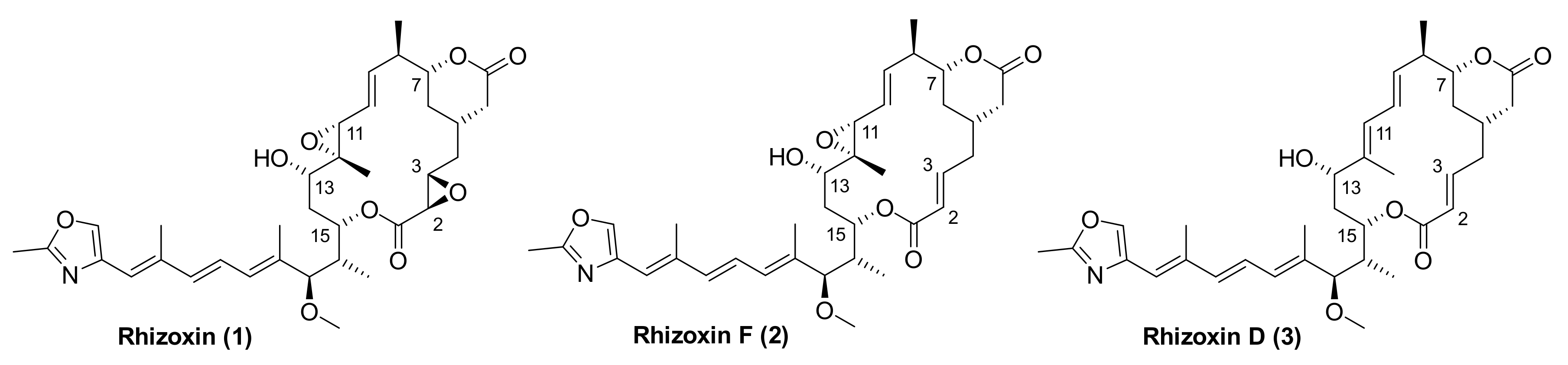 Molecules 25 04527 g001