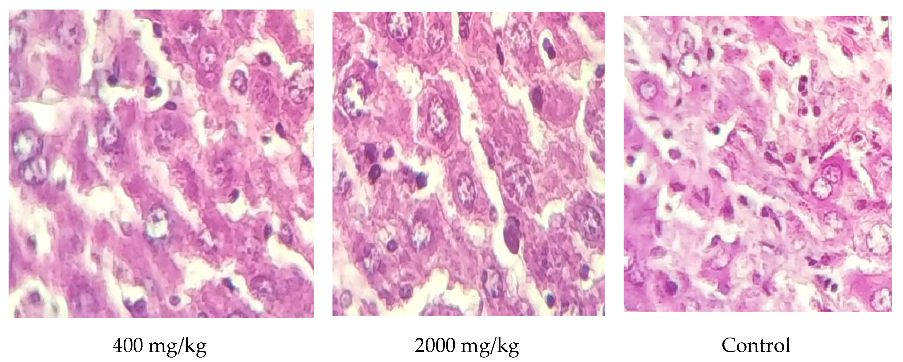 Molecules 25 04528 g006