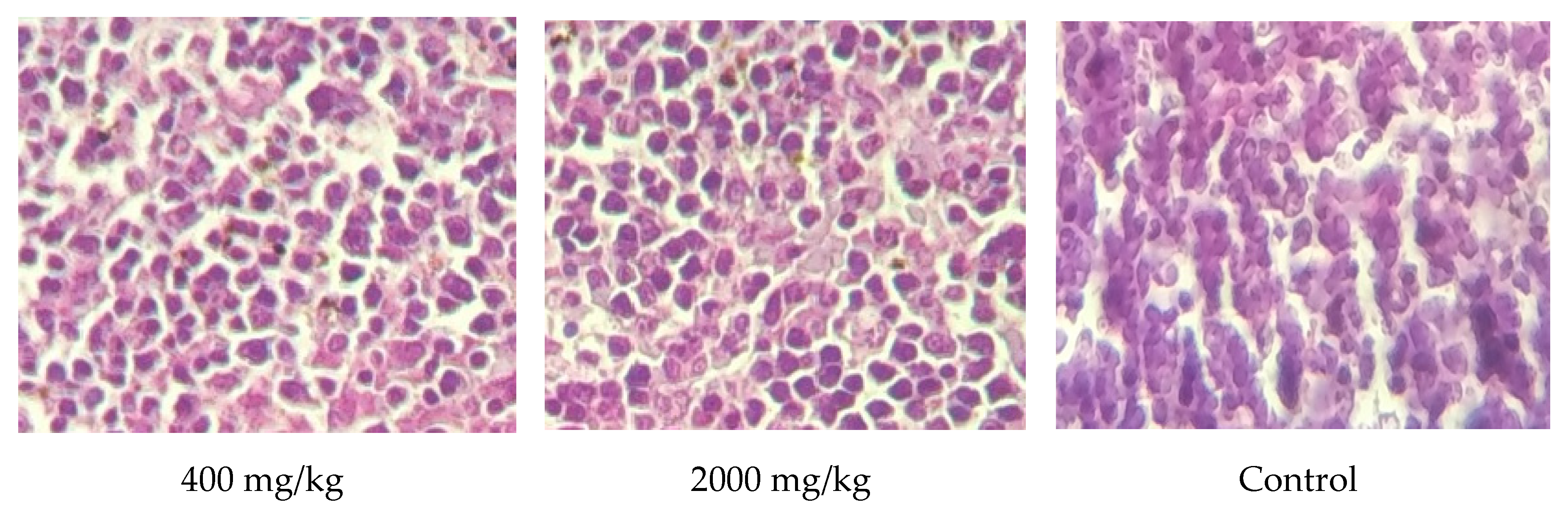 Molecules 25 04528 g007