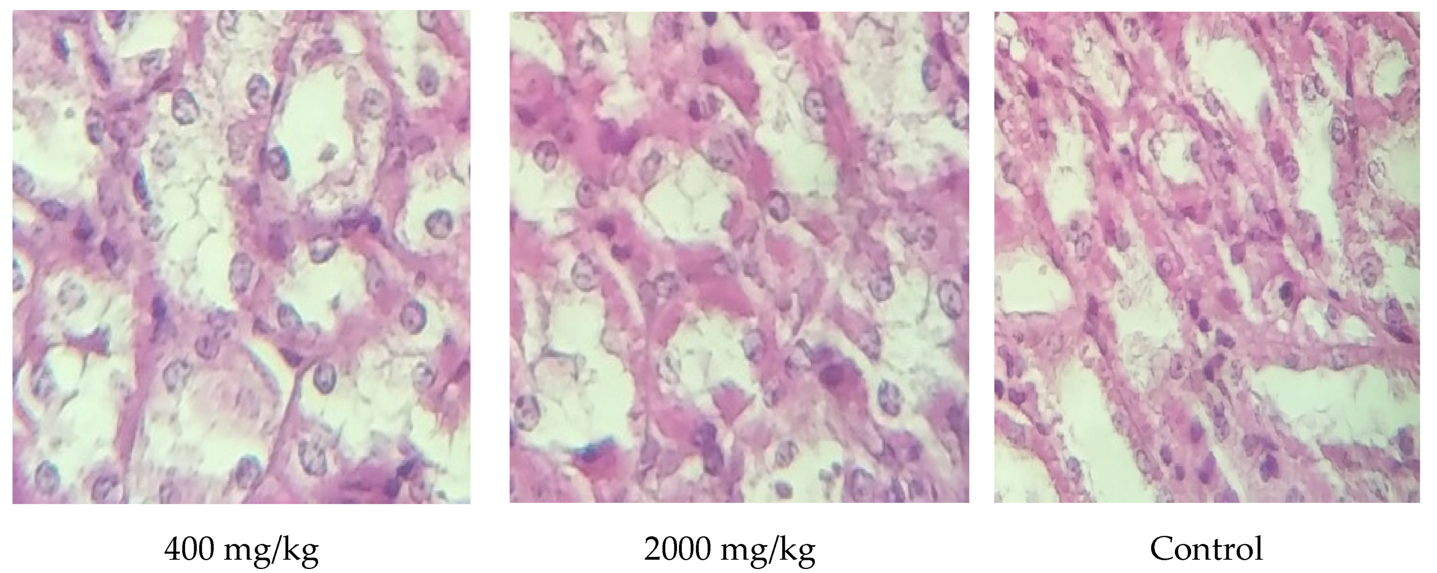 Molecules 25 04528 g008
