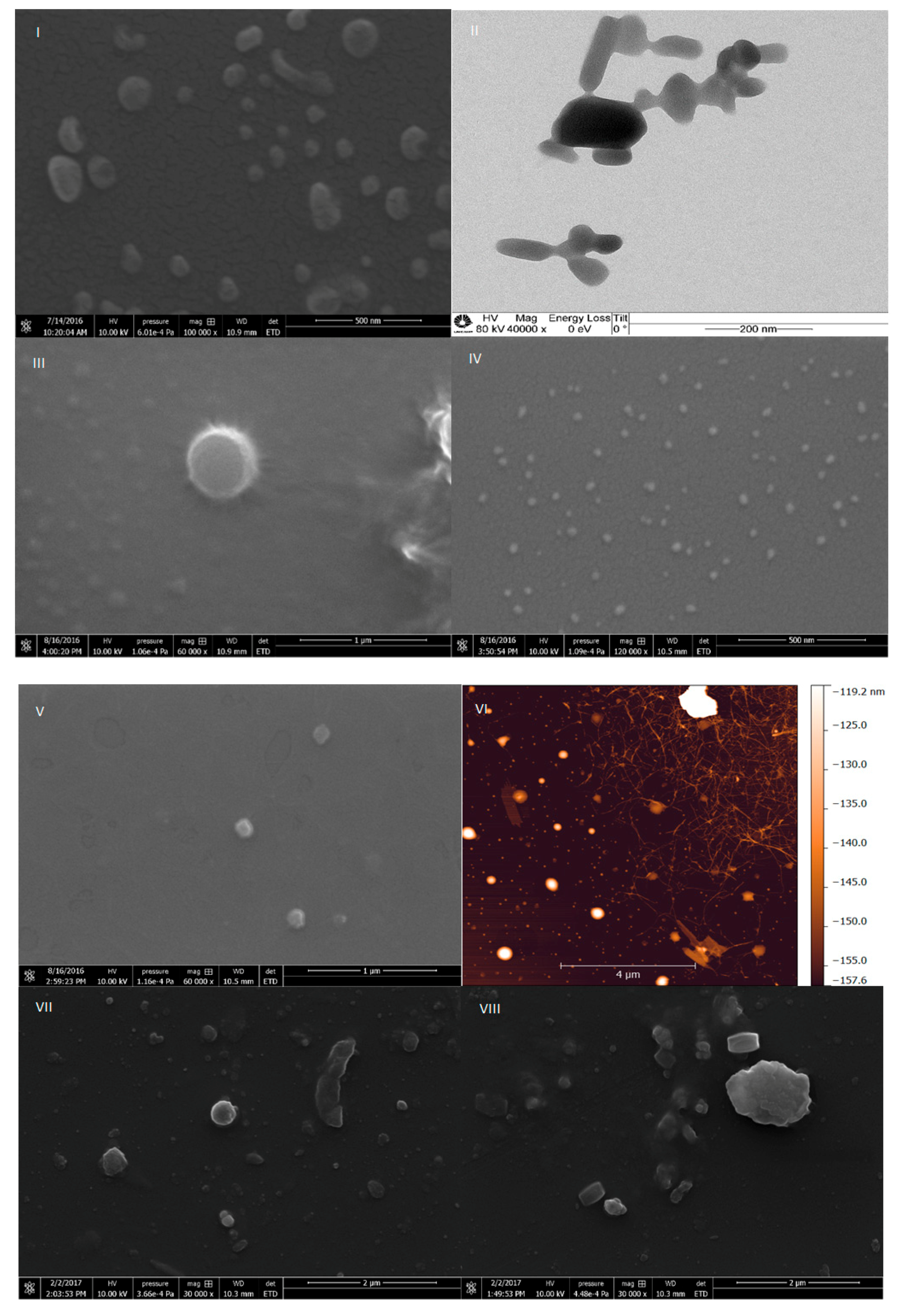 Molecules 25 04534 g004 Molecules 25 04534 g004