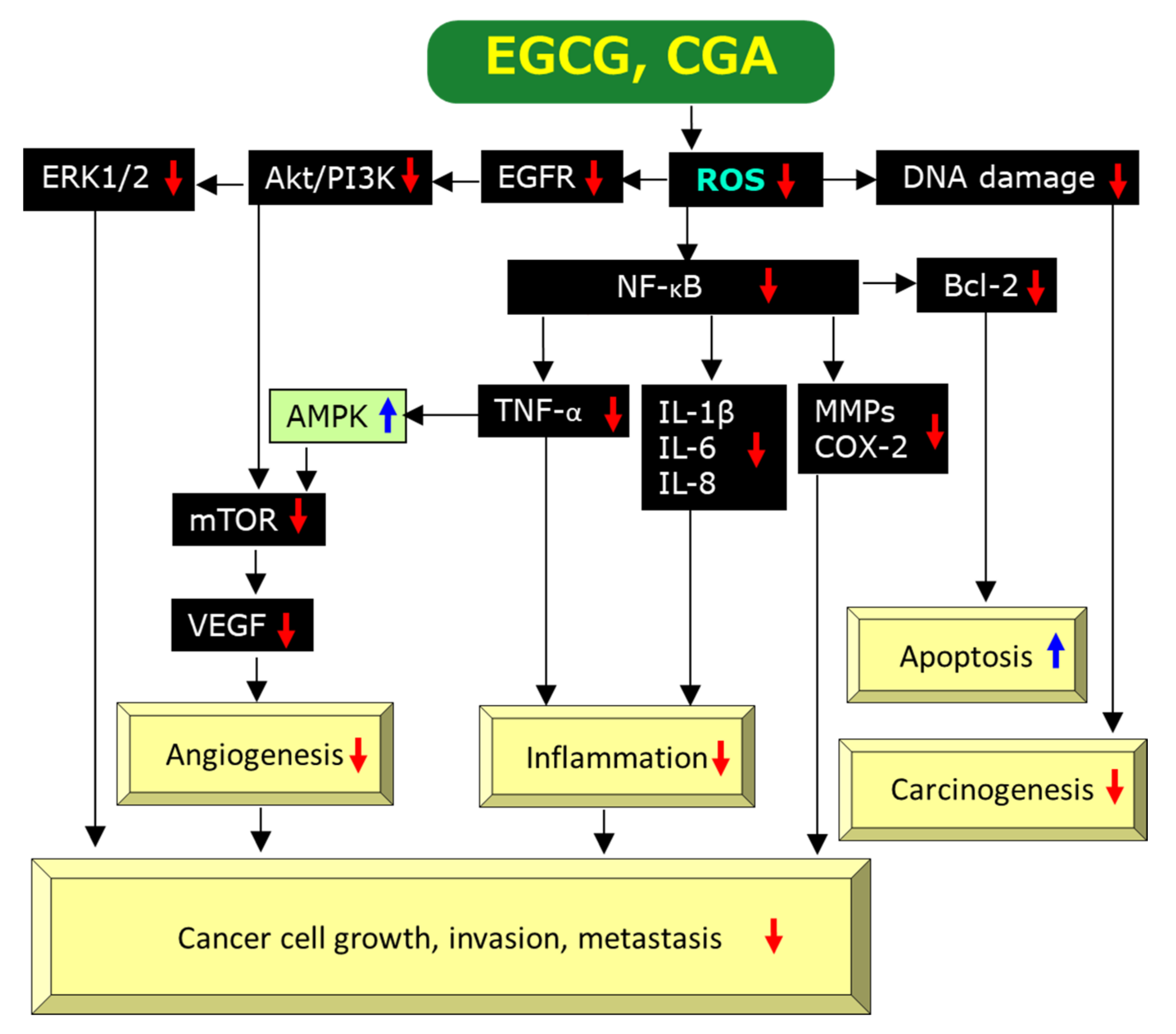 Molecules 25 04553 g002