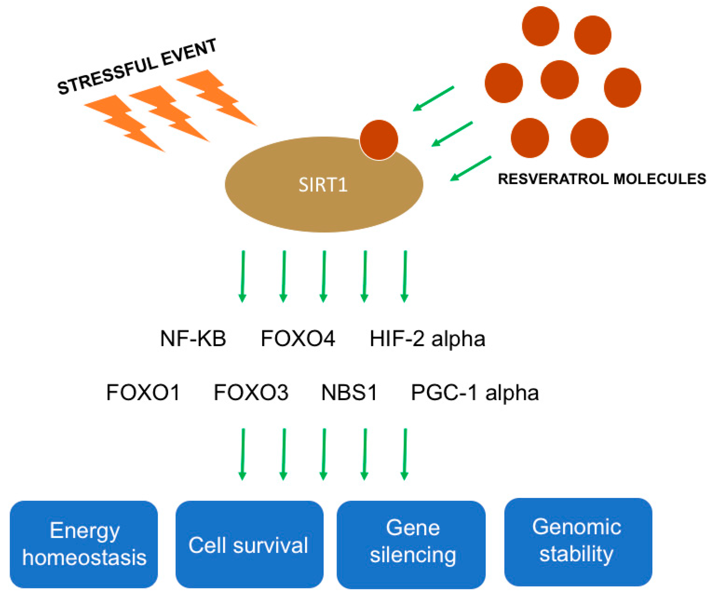 Molecules 25 04554 g002