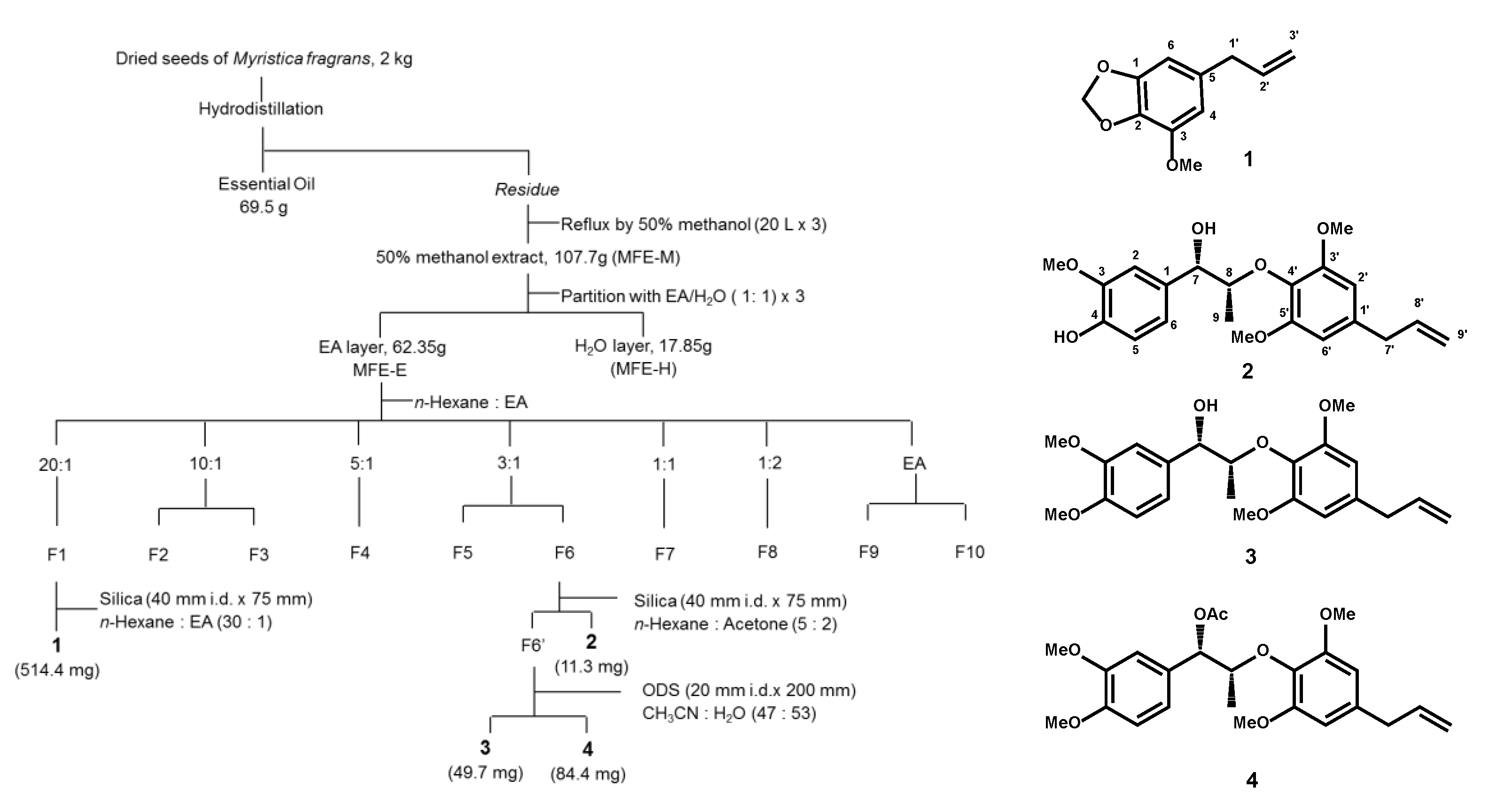 Molecules 25 04563 g001