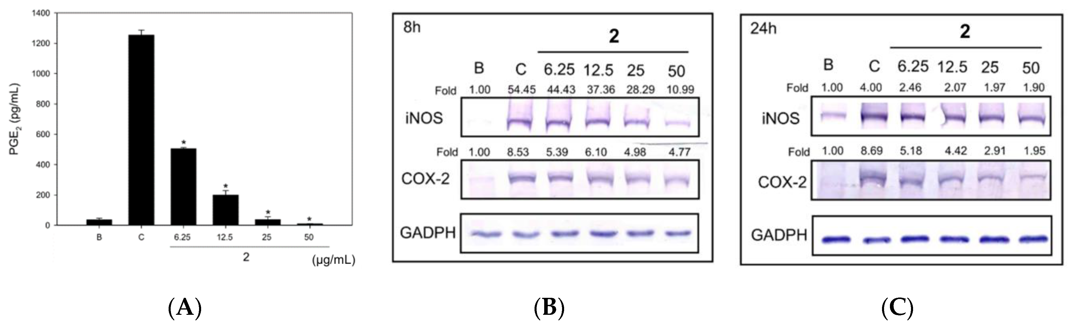Molecules 25 04563 g003
