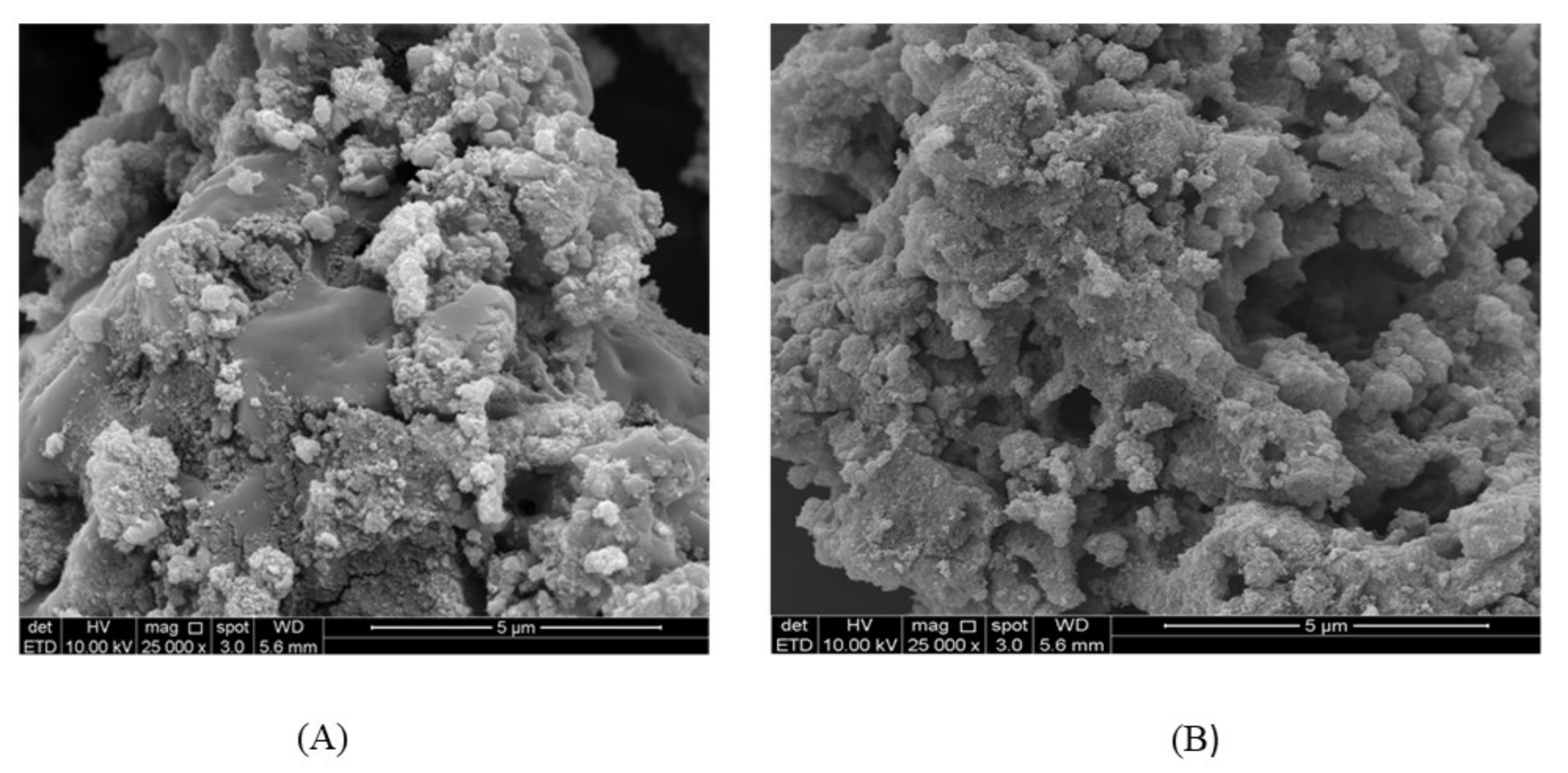 Molecules 25 04564 g004 Molecules 25 04564 g004