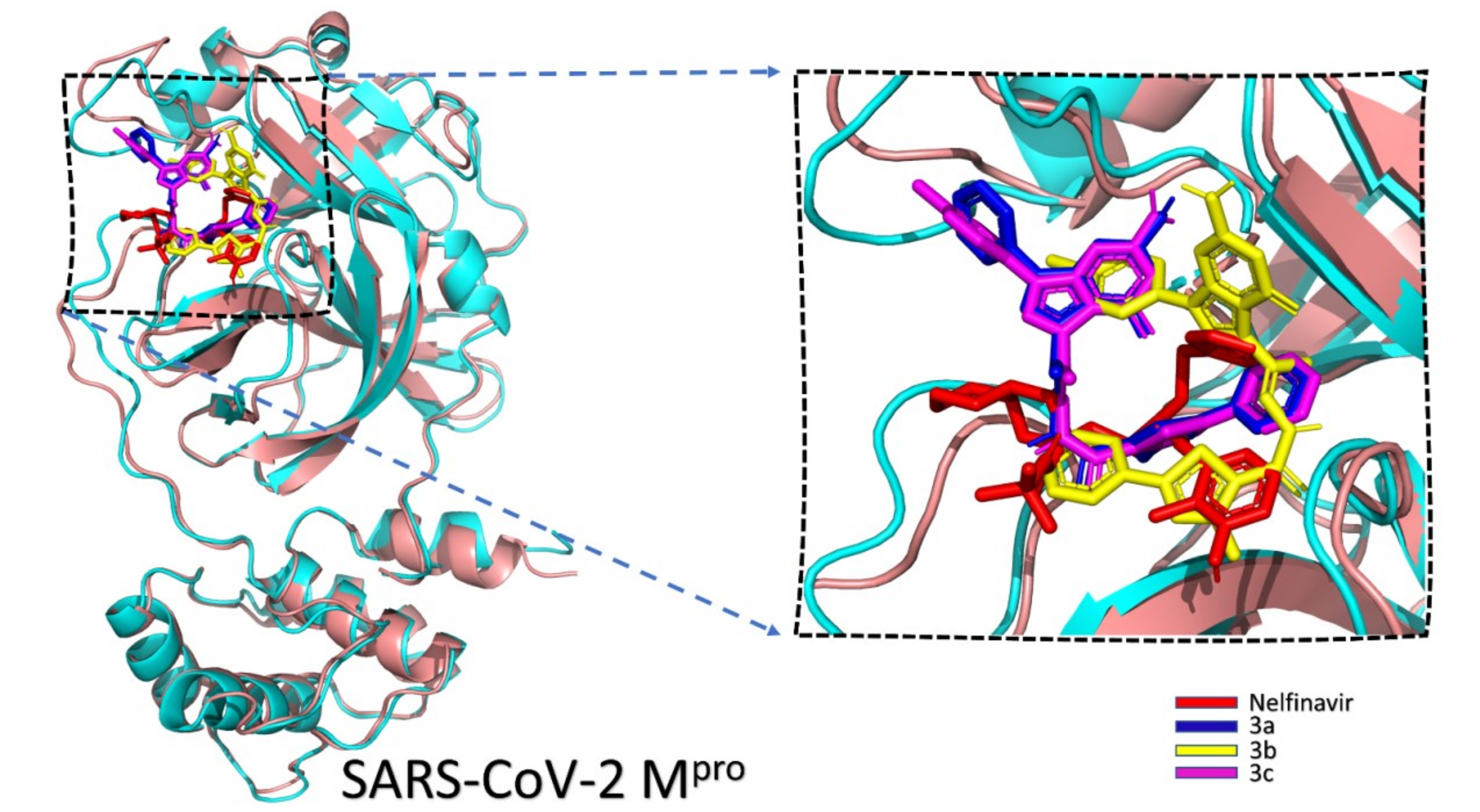 Molecules 25 04565 g004