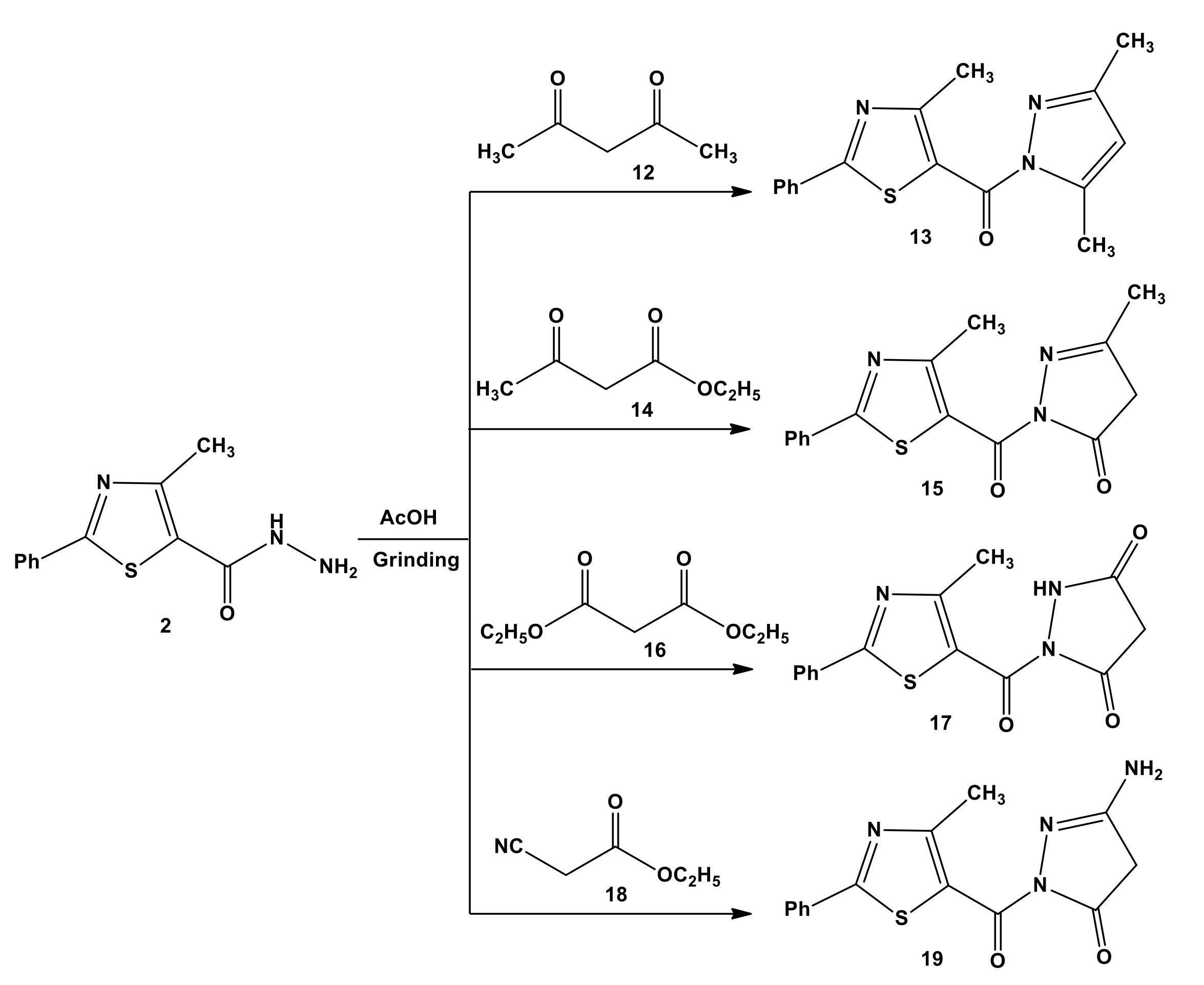 Molecules 25 04565 sch004