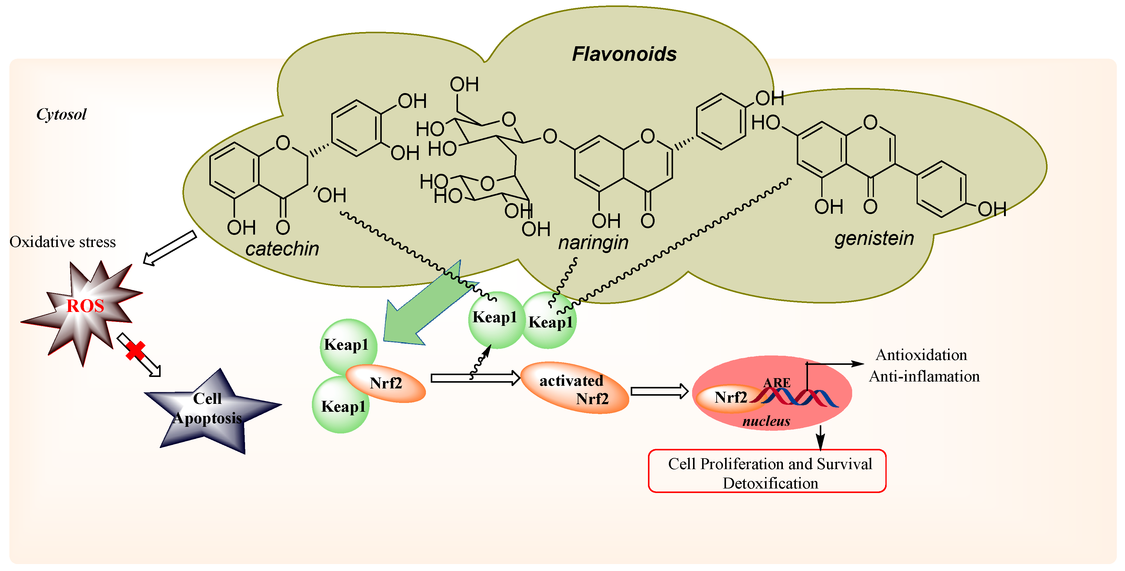 Molecules 25 04573 g010