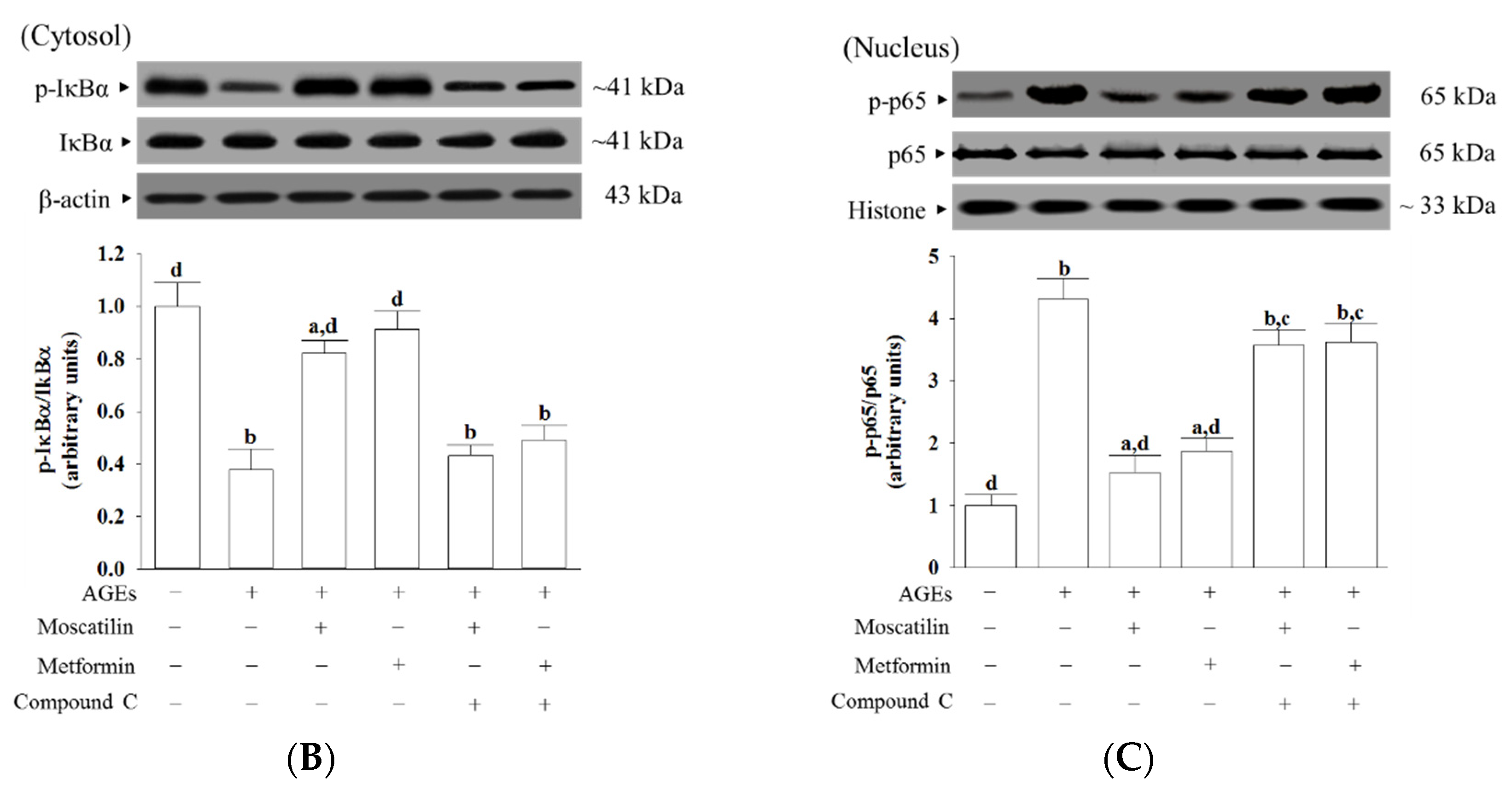 Molecules 25 04574 g005b