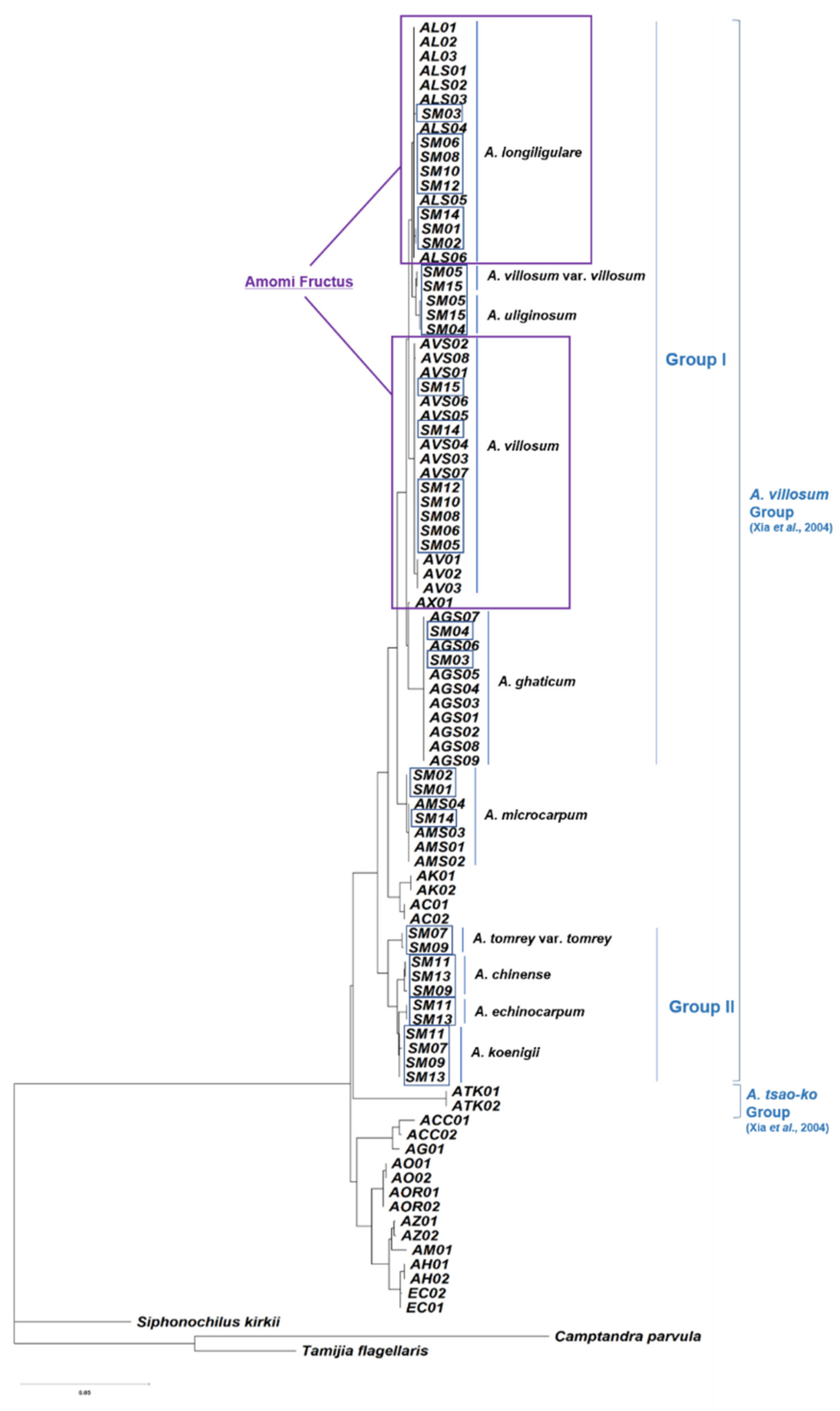 Molecules 25 04581 g001