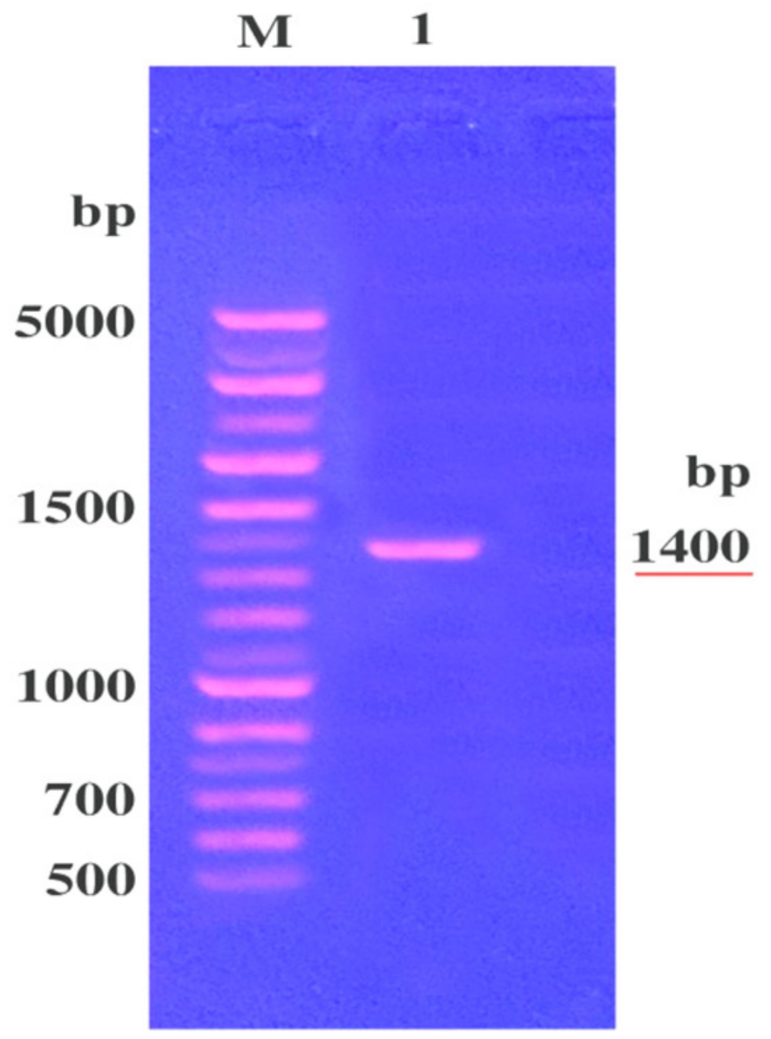Molecules 25 04583 g001 Molecules 25 04583 g001