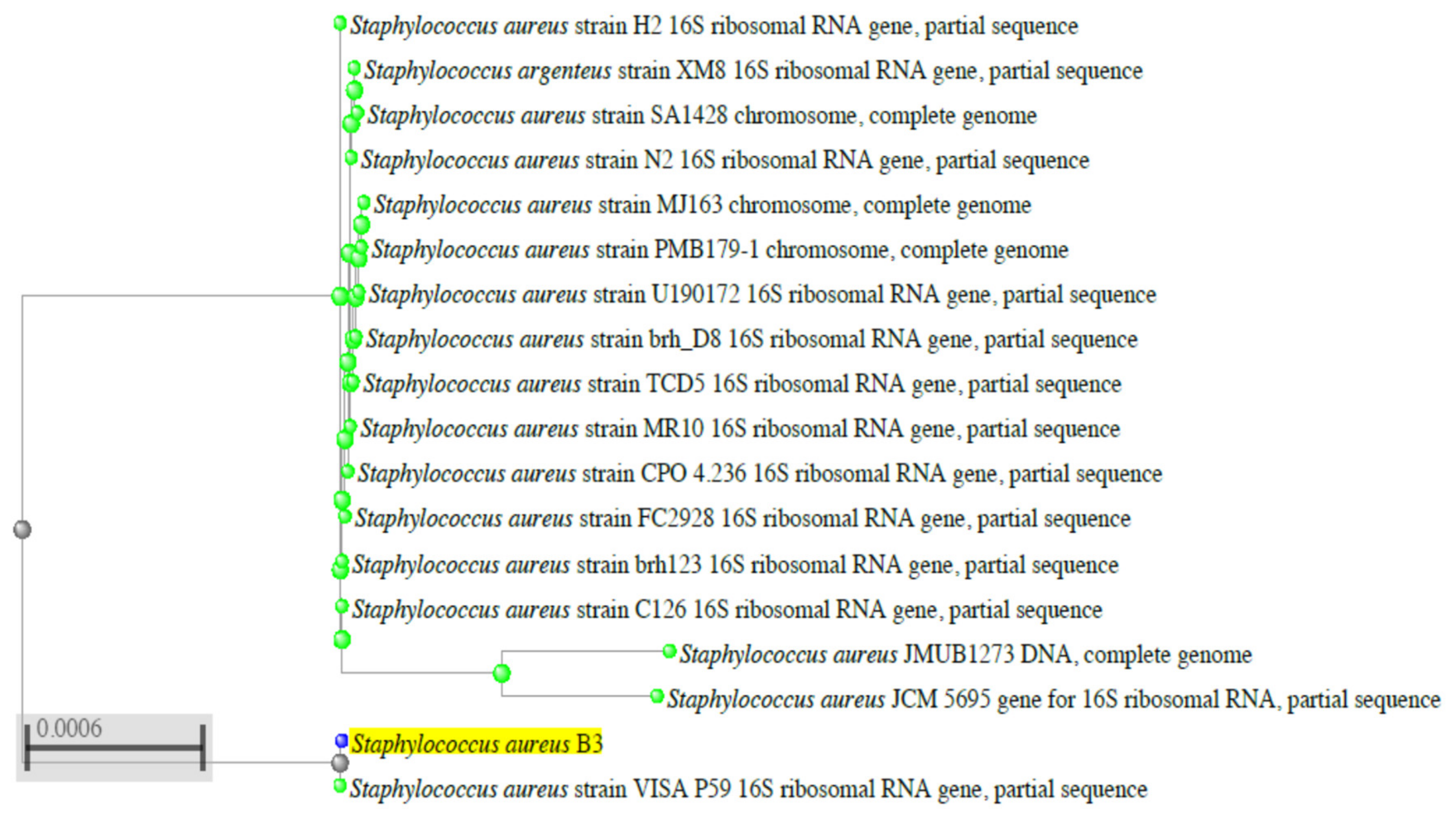 Molecules 25 04583 g002 Molecules 25 04583 g002