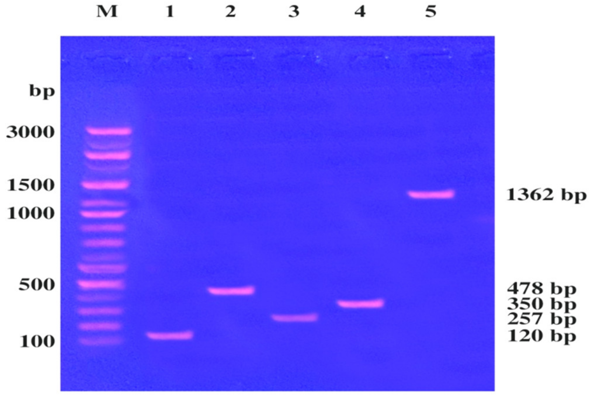 Molecules 25 04583 g003 Molecules 25 04583 g003