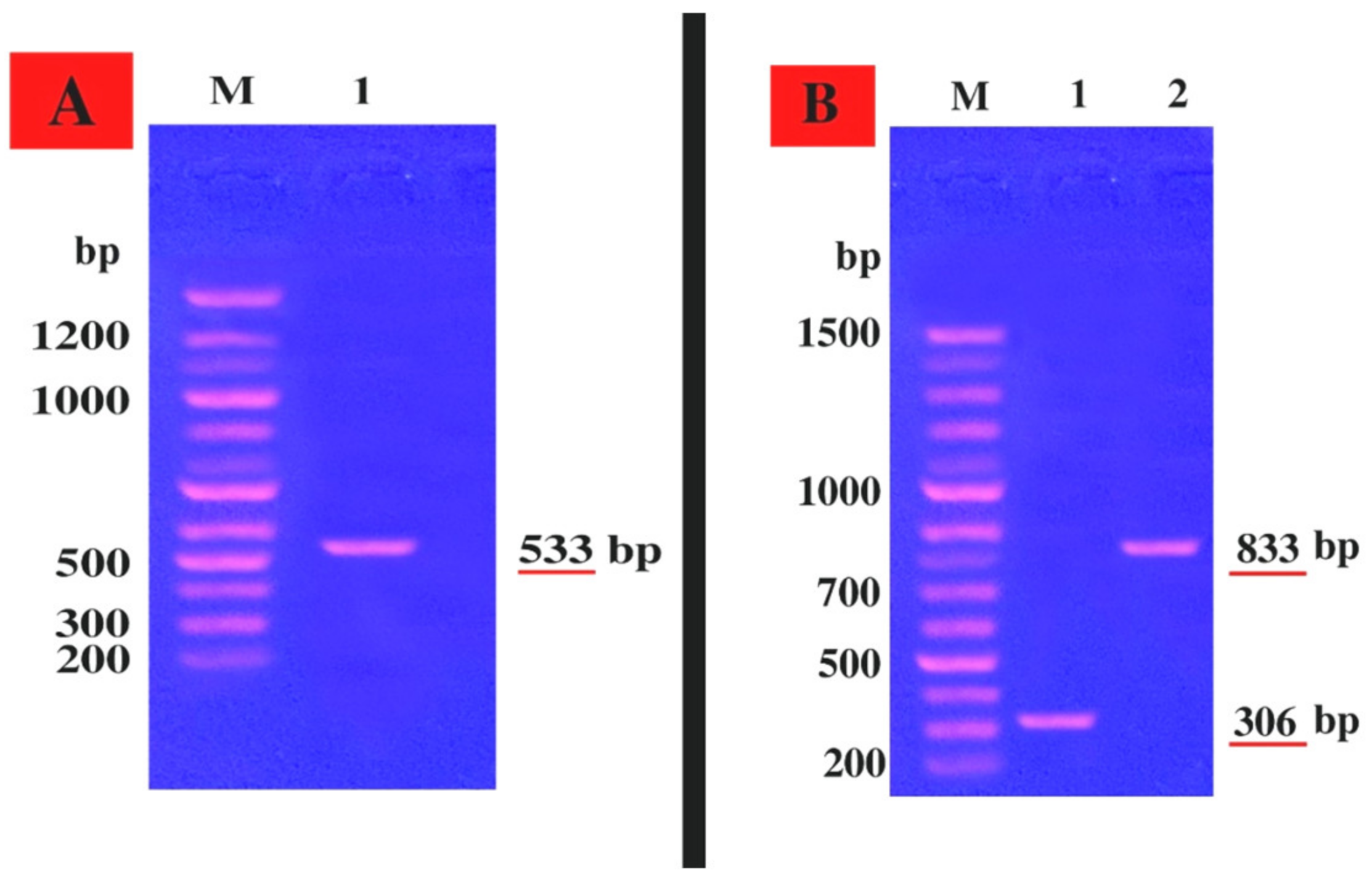 Molecules 25 04583 g004 Molecules 25 04583 g004
