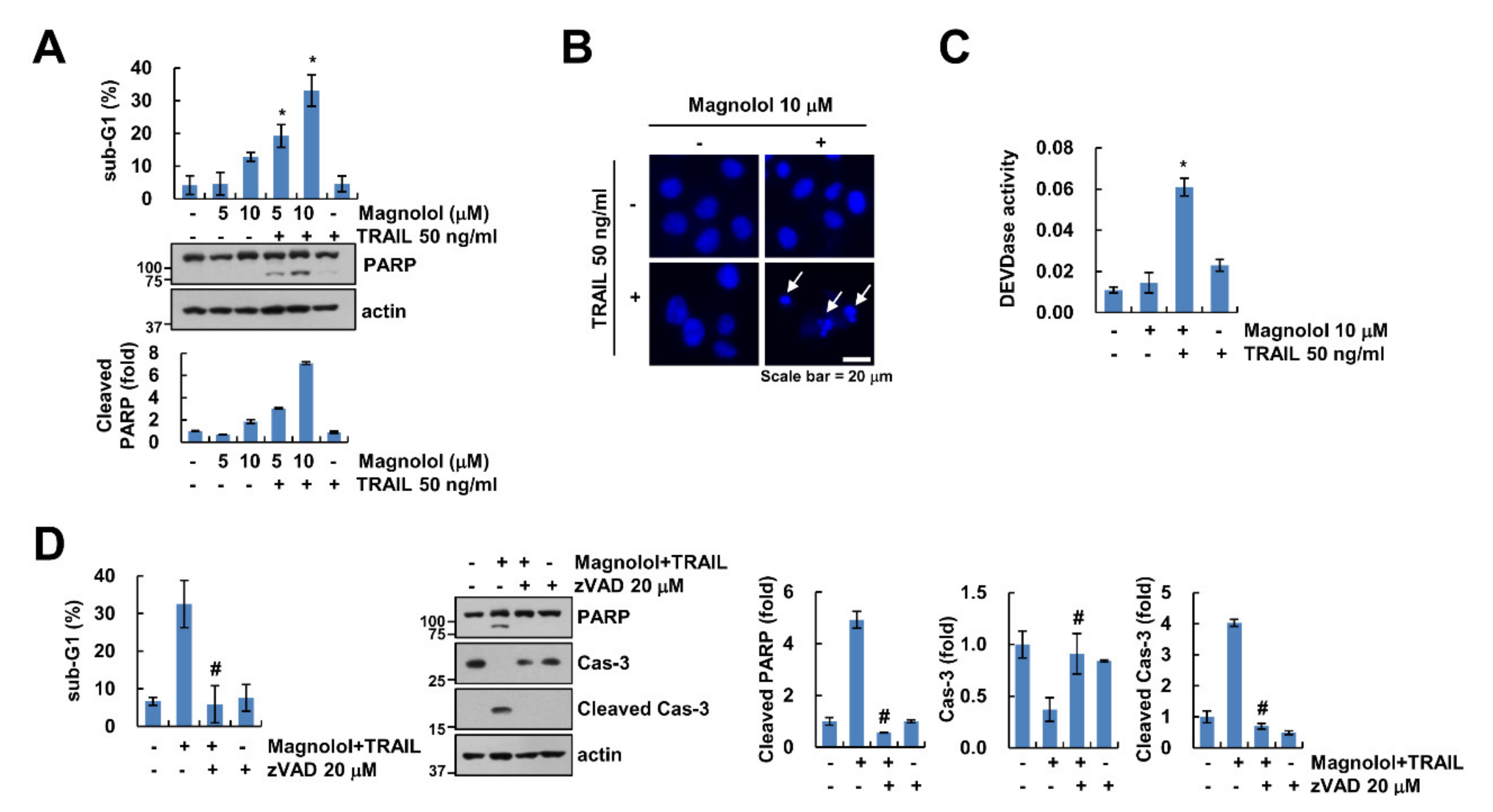 Molecules 25 04591 g001