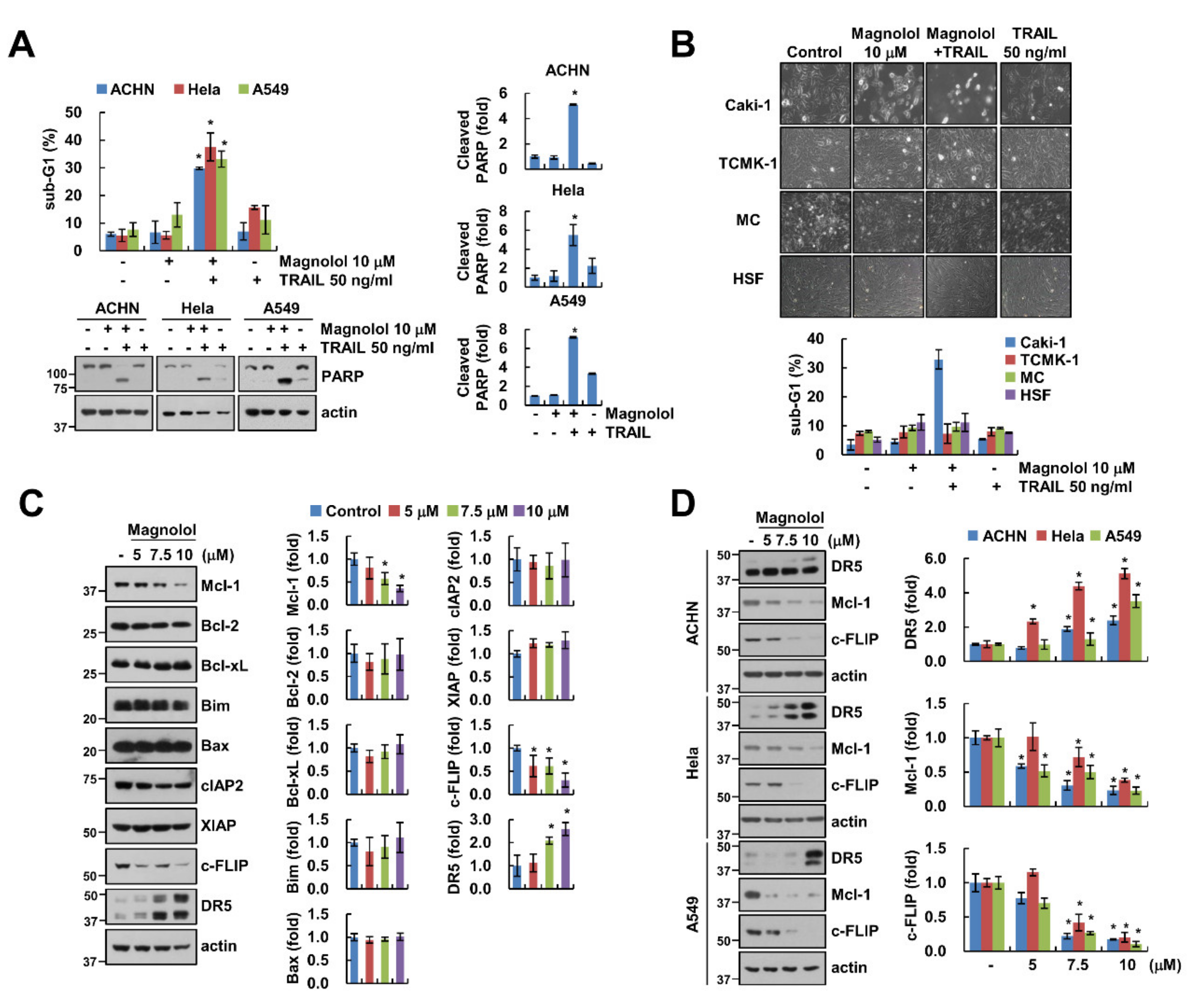 Molecules 25 04591 g002