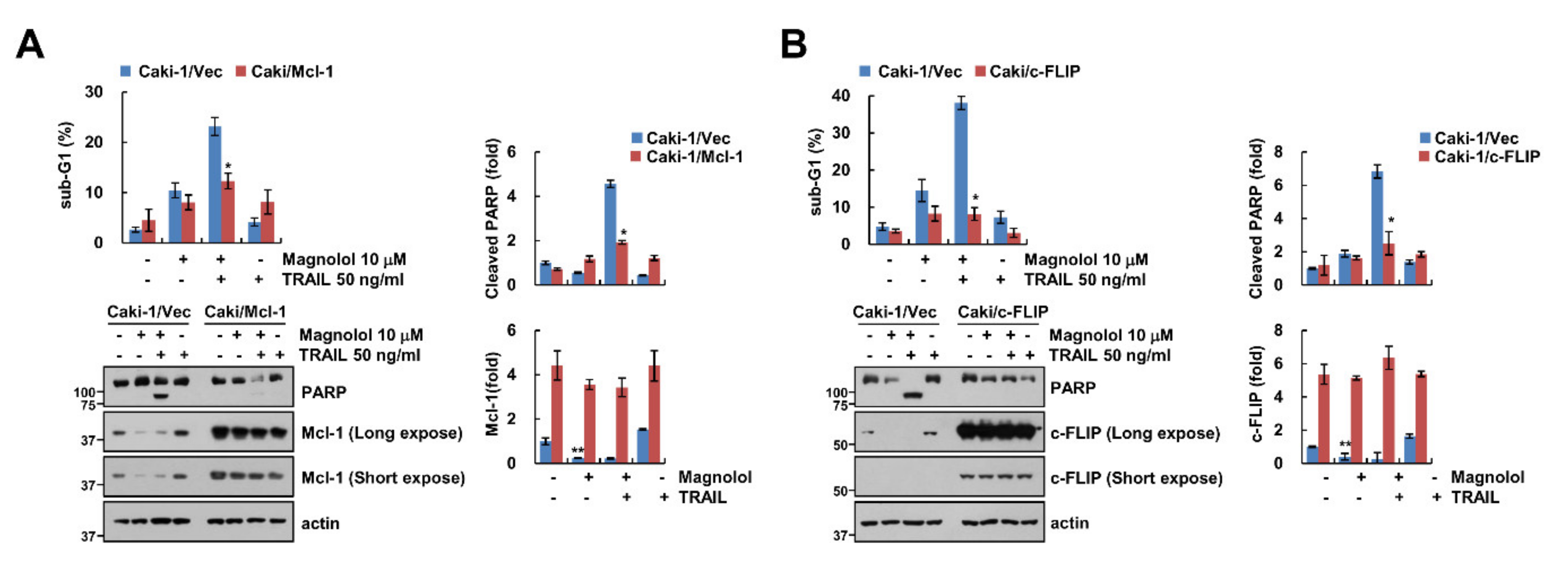 Molecules 25 04591 g004