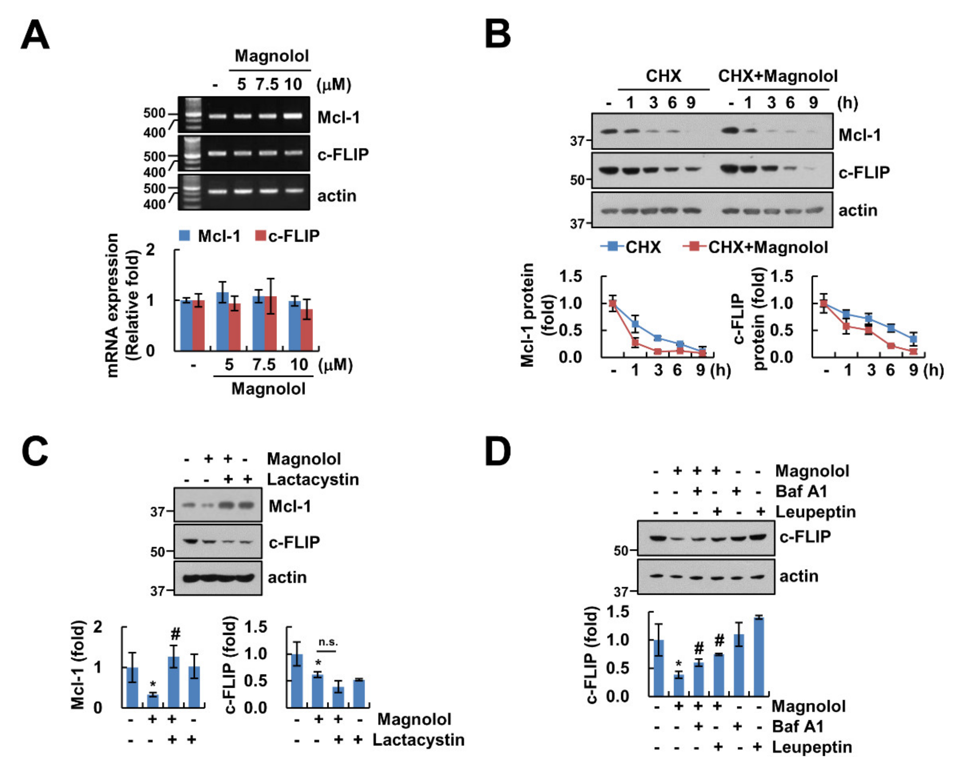 Molecules 25 04591 g005