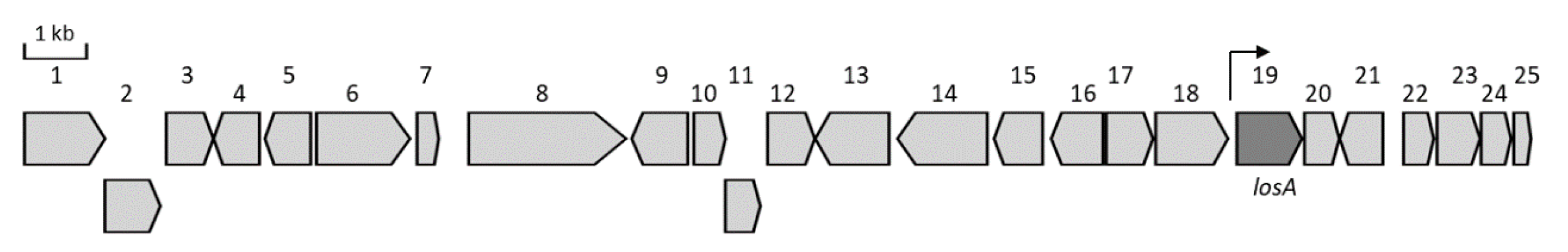 Molecules 25 04594 g001