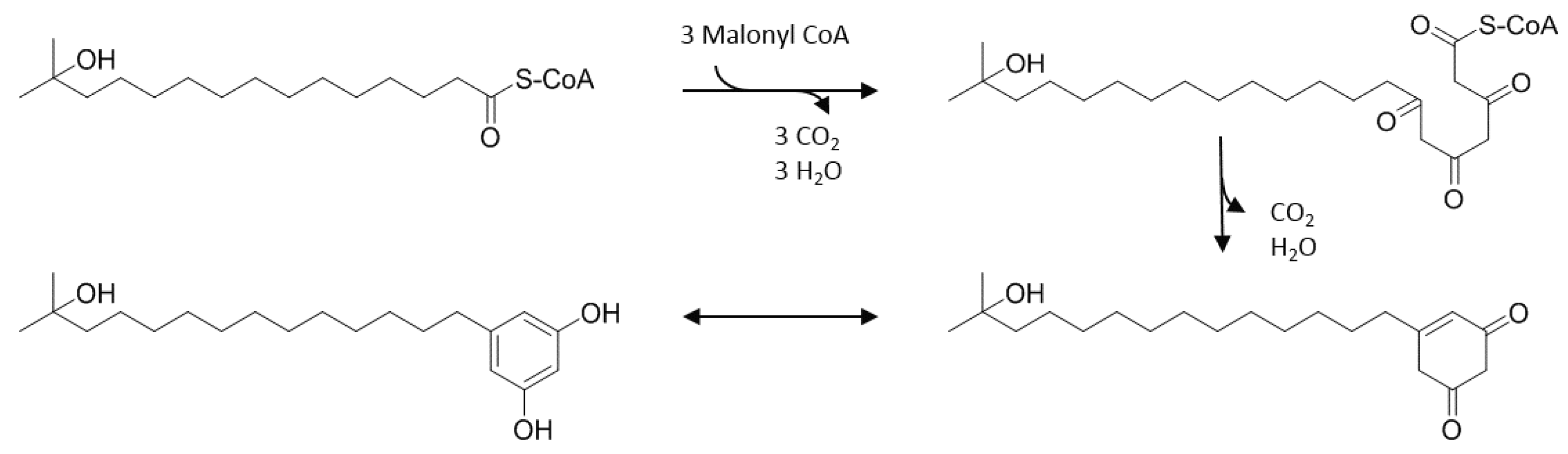 Molecules 25 04594 g004
