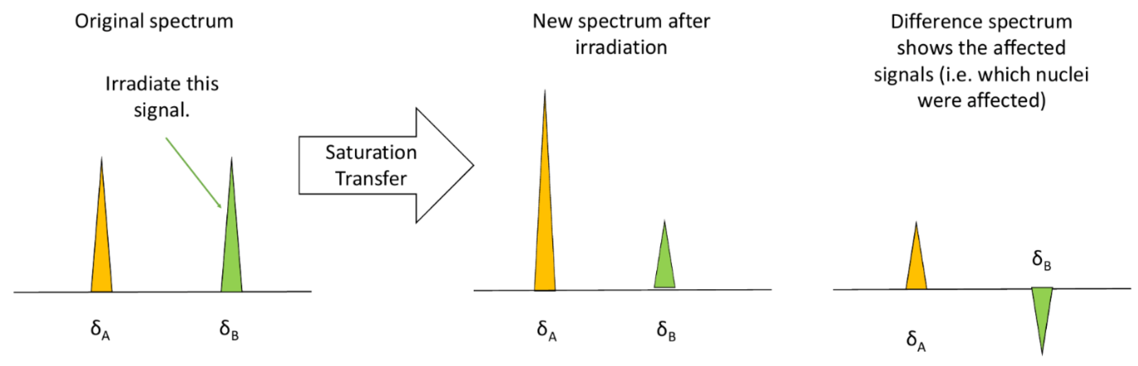 Molecules 25 04597 g008 Molecules 25 04597 g008