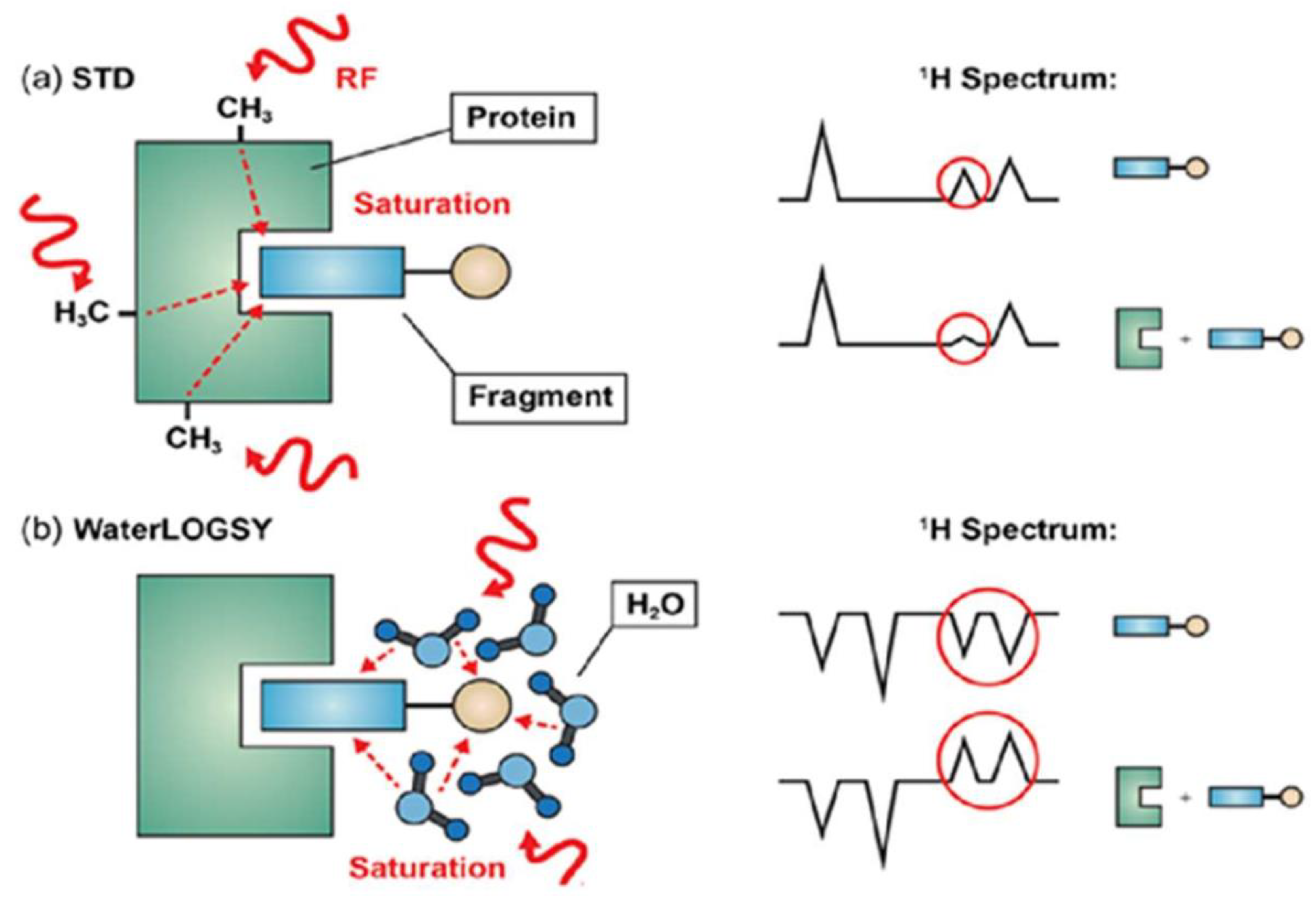 Molecules 25 04597 g009 Molecules 25 04597 g009