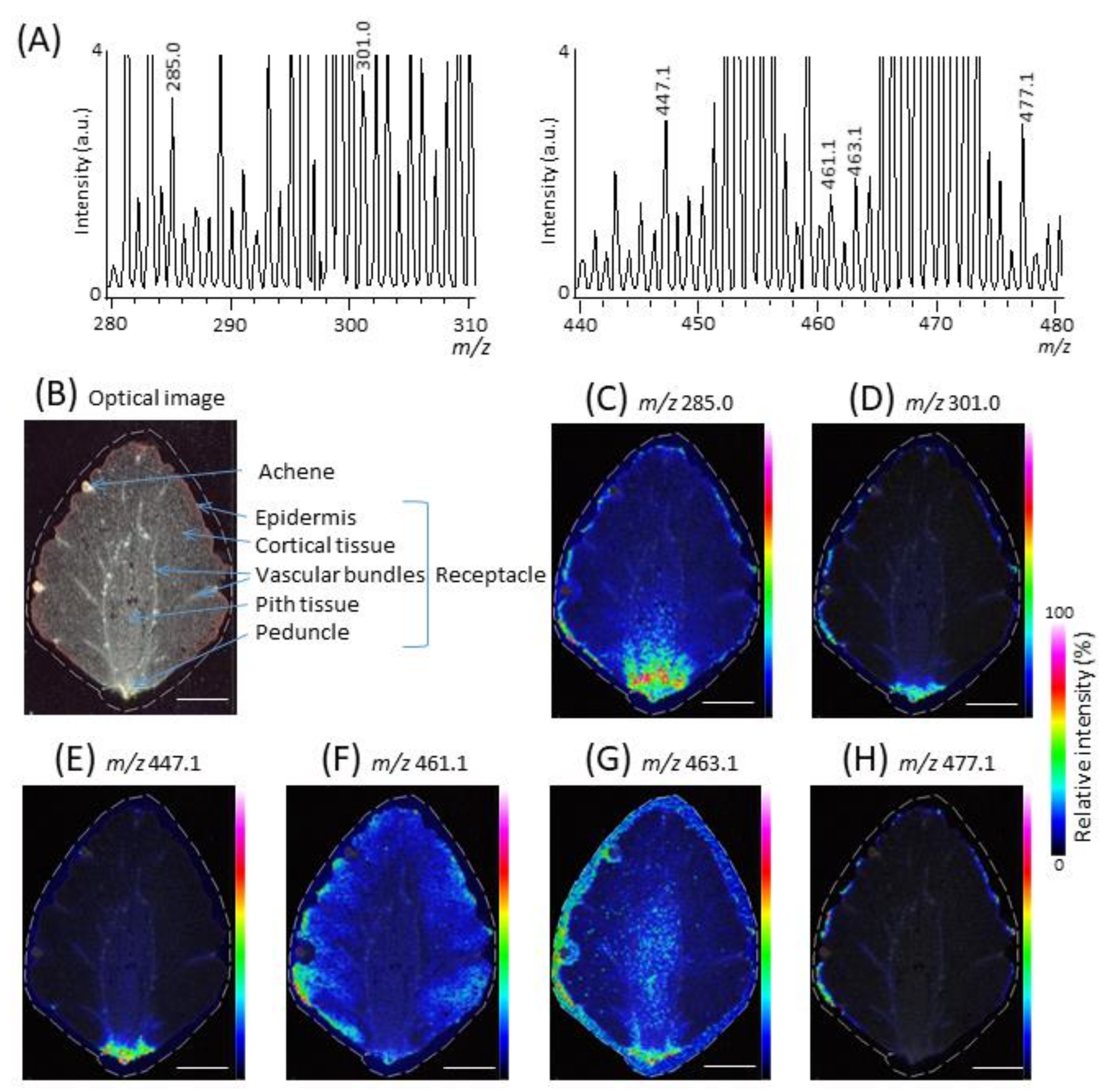 Molecules 25 04600 g002 Molecules 25 04600 g002