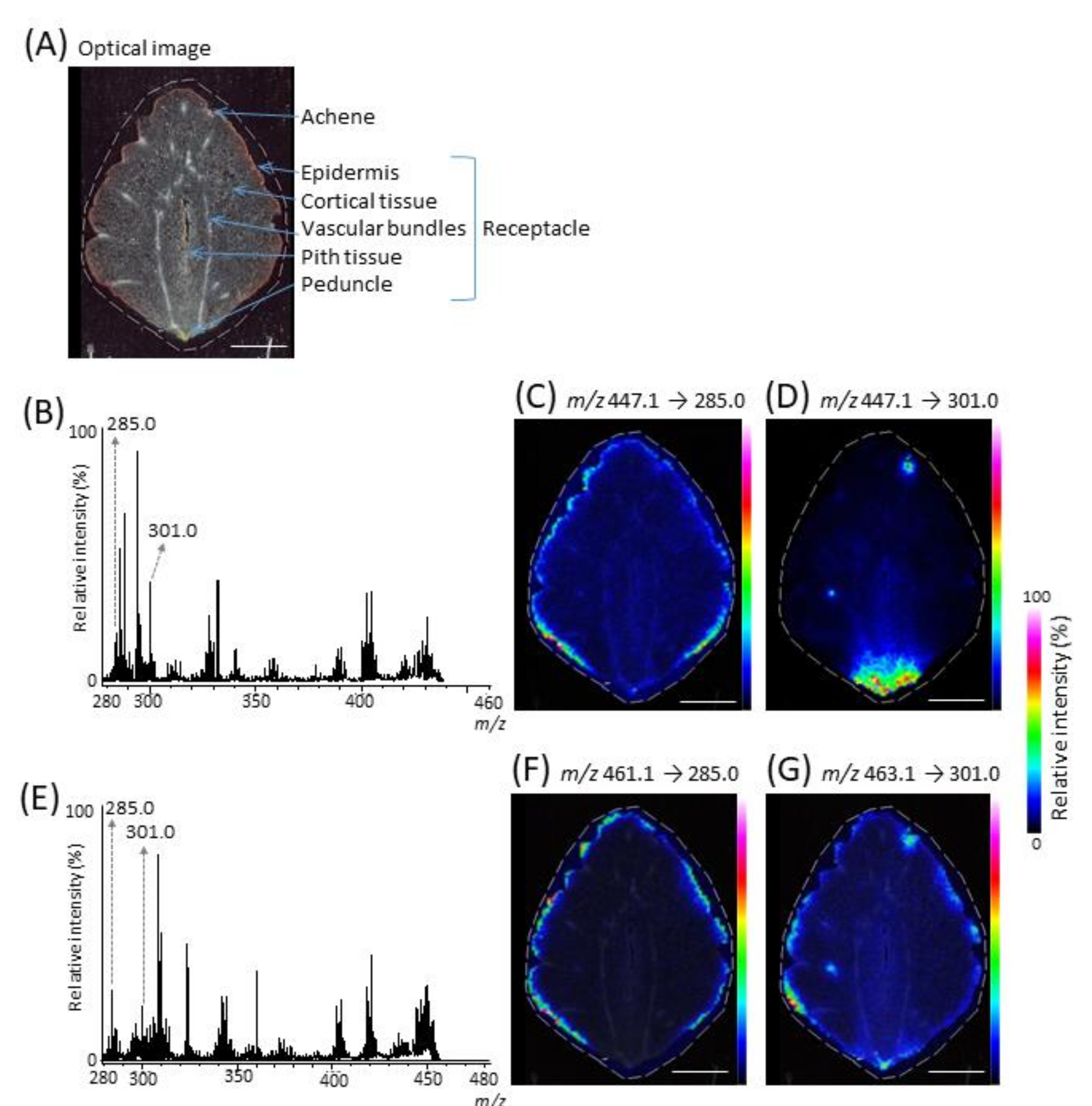 Molecules 25 04600 g003 Molecules 25 04600 g003