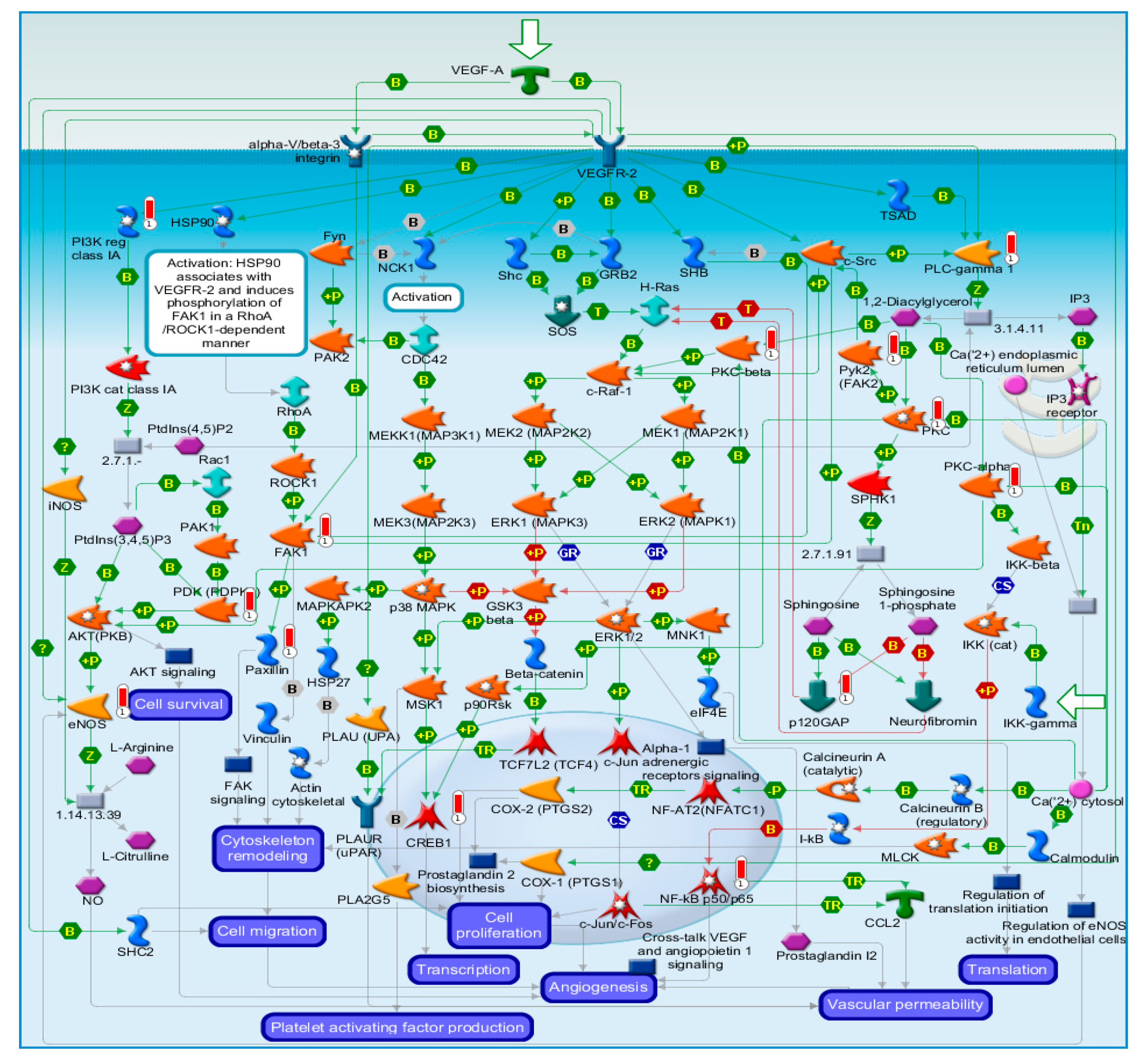 Molecules 25 04606 g001