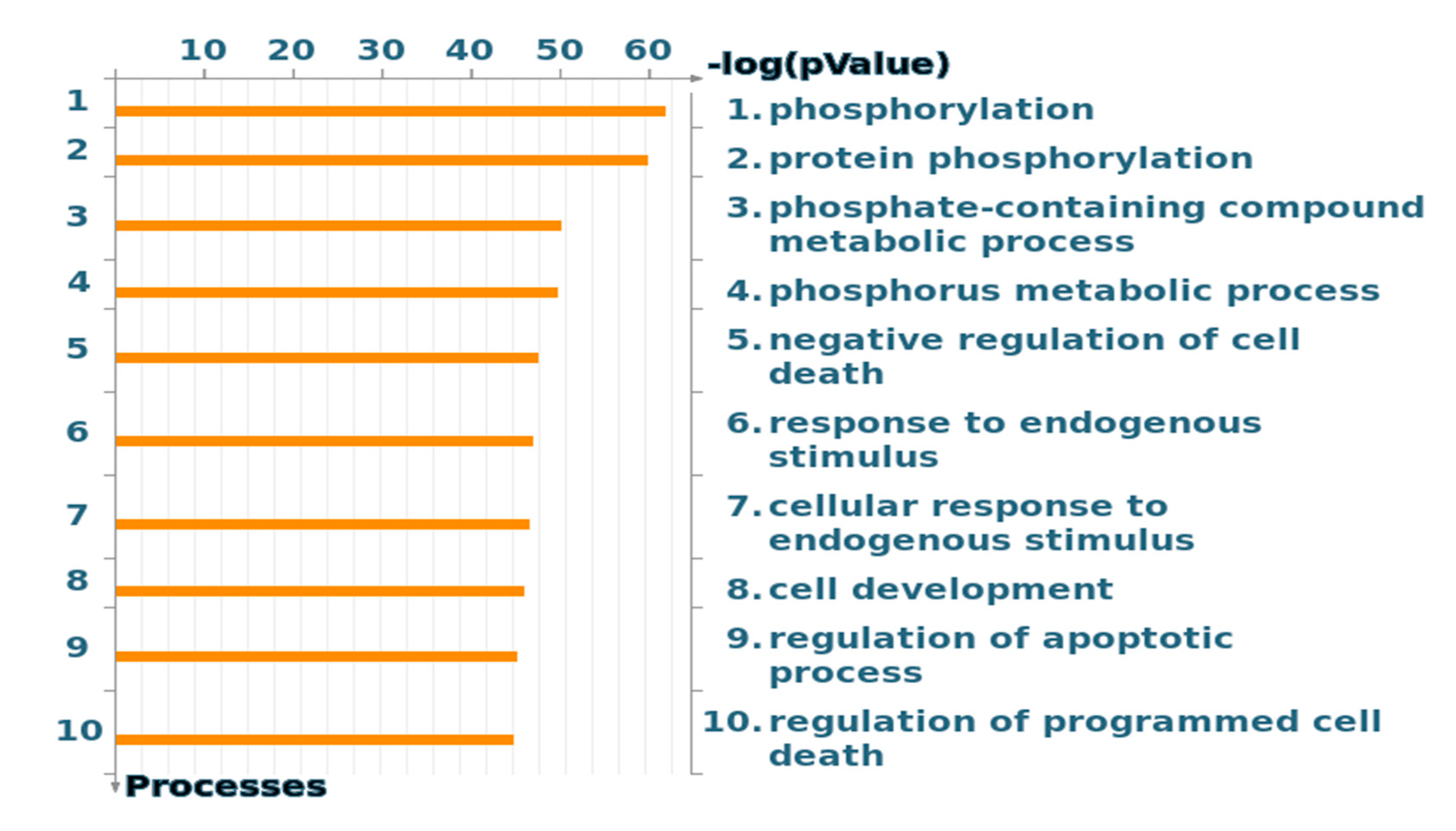 Molecules 25 04606 g003