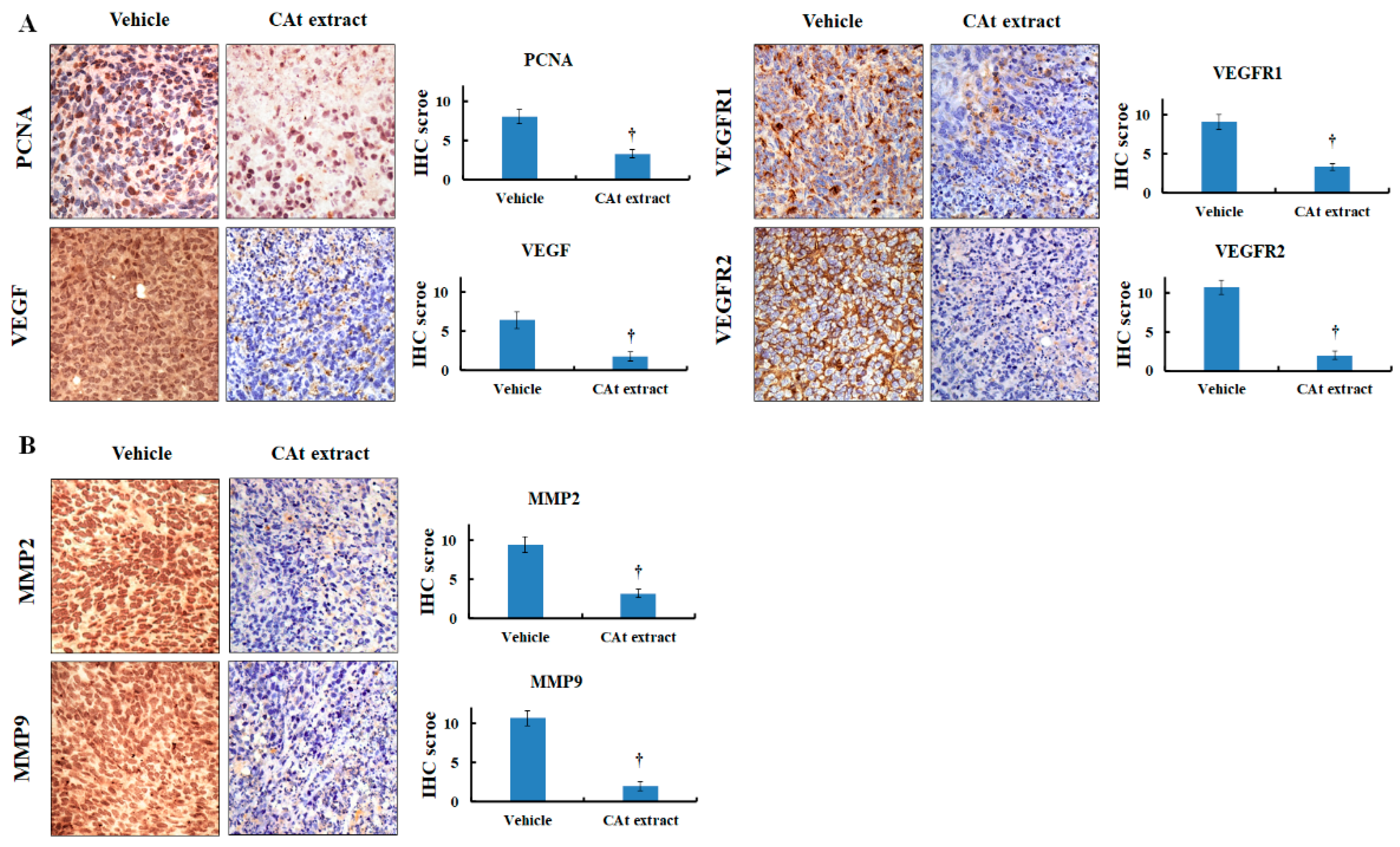 Molecules 25 04608 g007