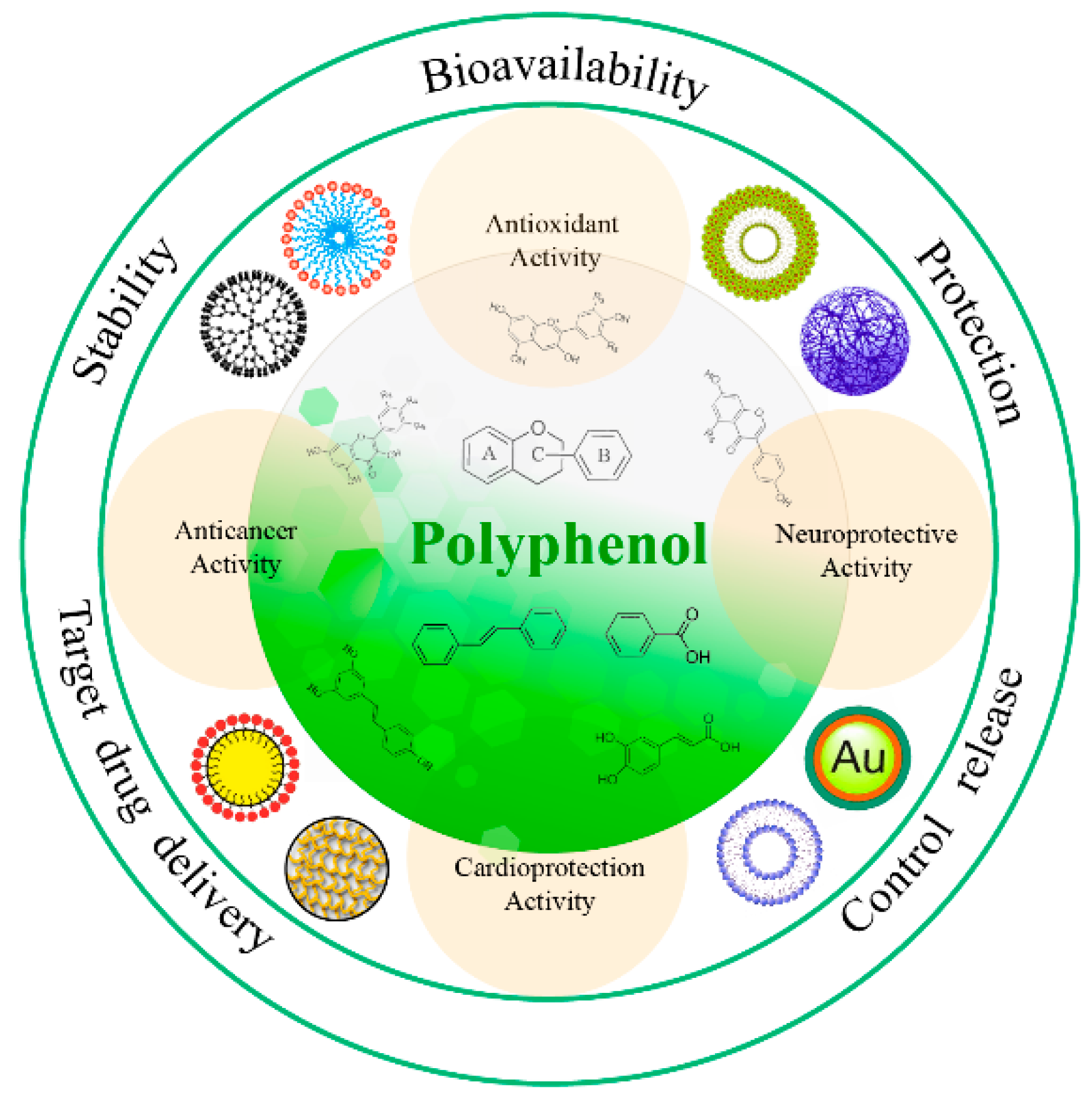 Molecules 25 04613 g001
