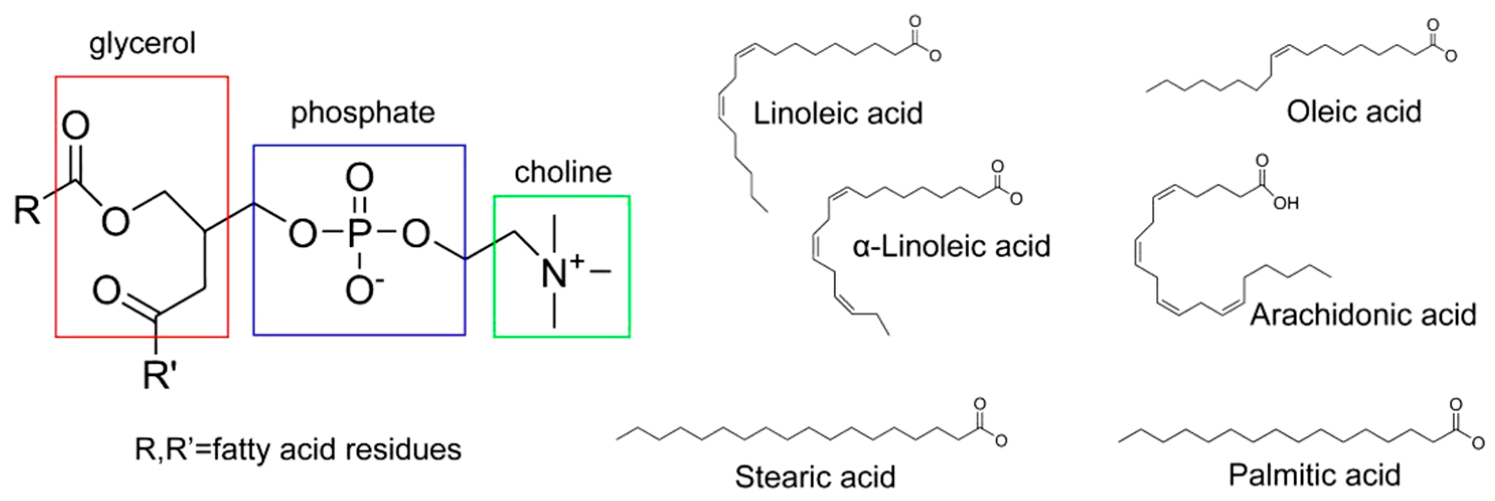 Molecules 25 04613 g002