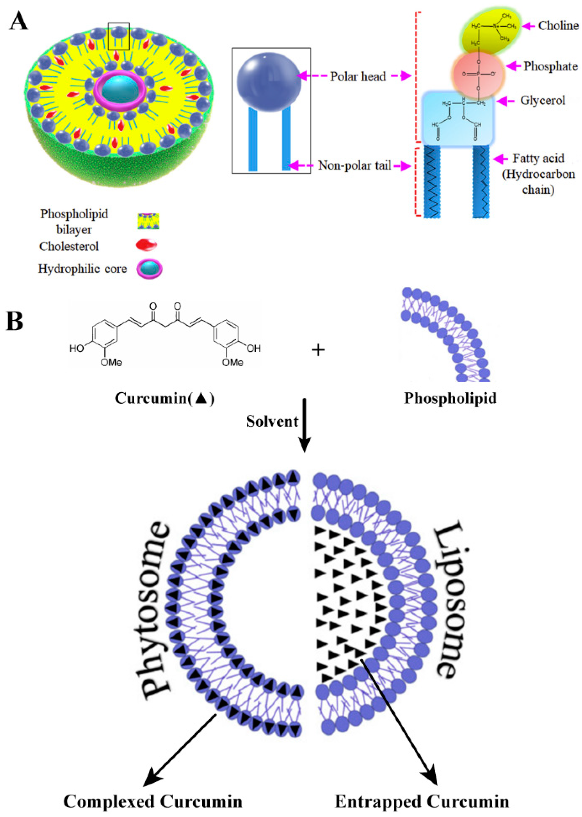 Molecules 25 04613 g003