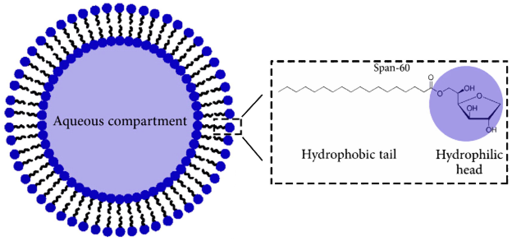 Molecules 25 04613 g004