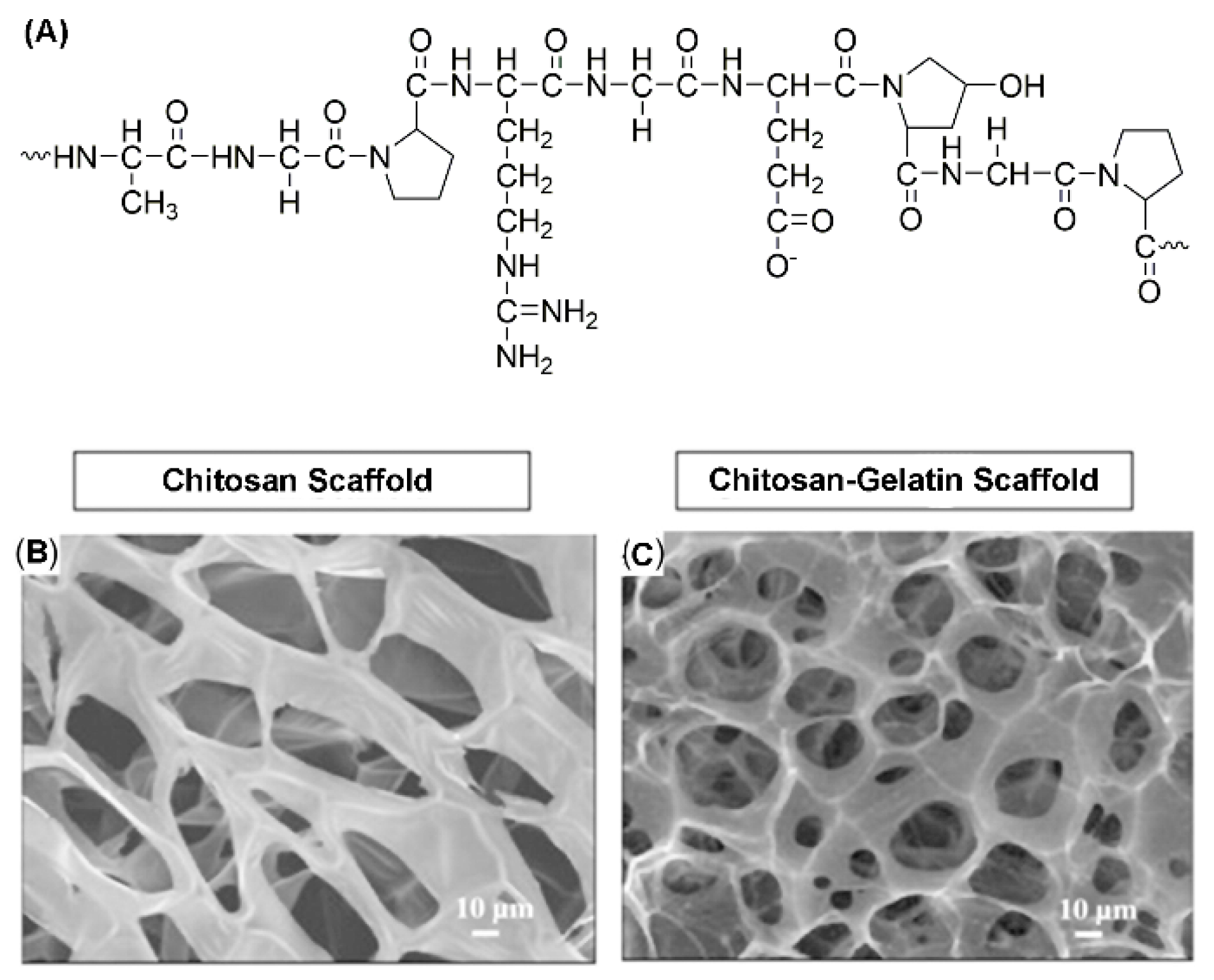 Molecules 25 04613 g005