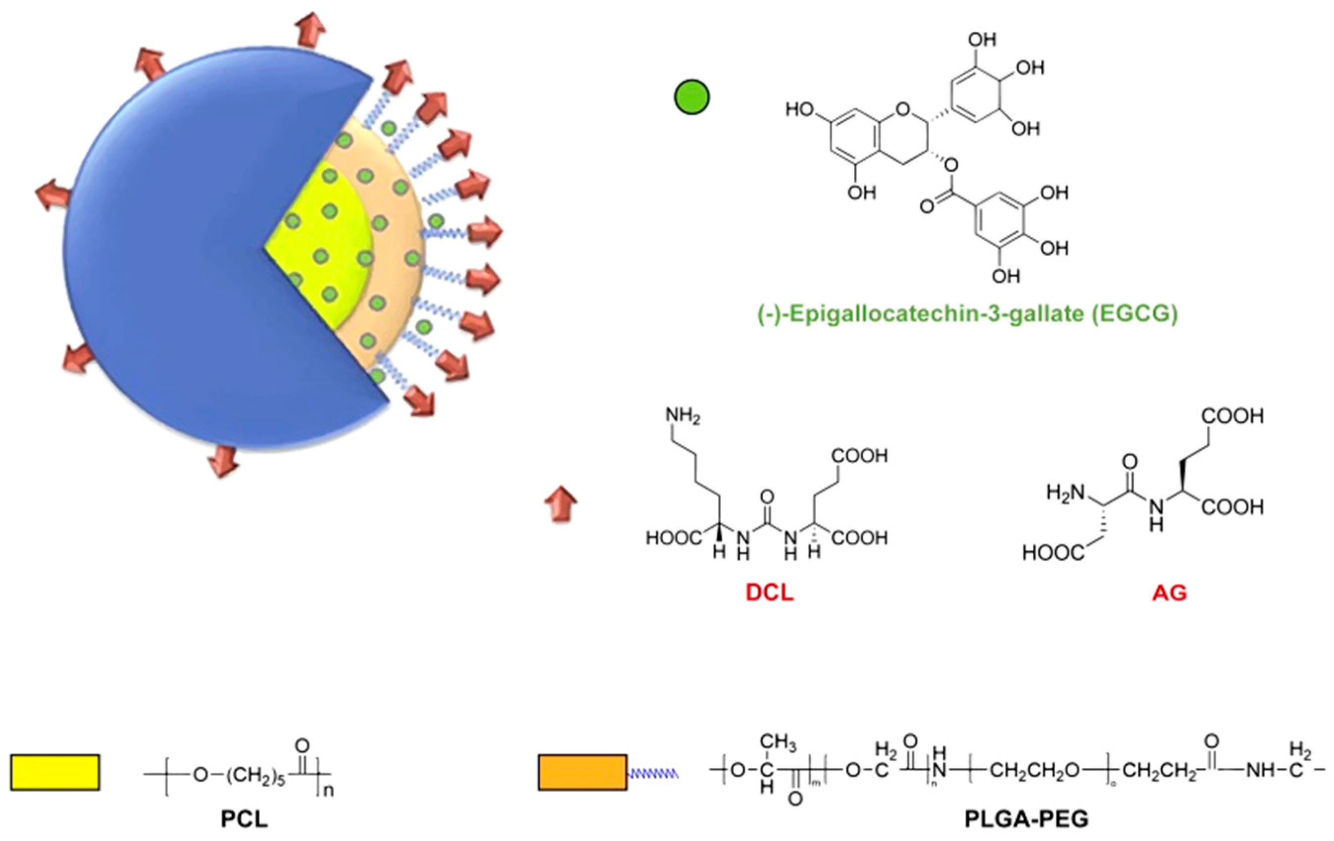 Molecules 25 04613 g006
