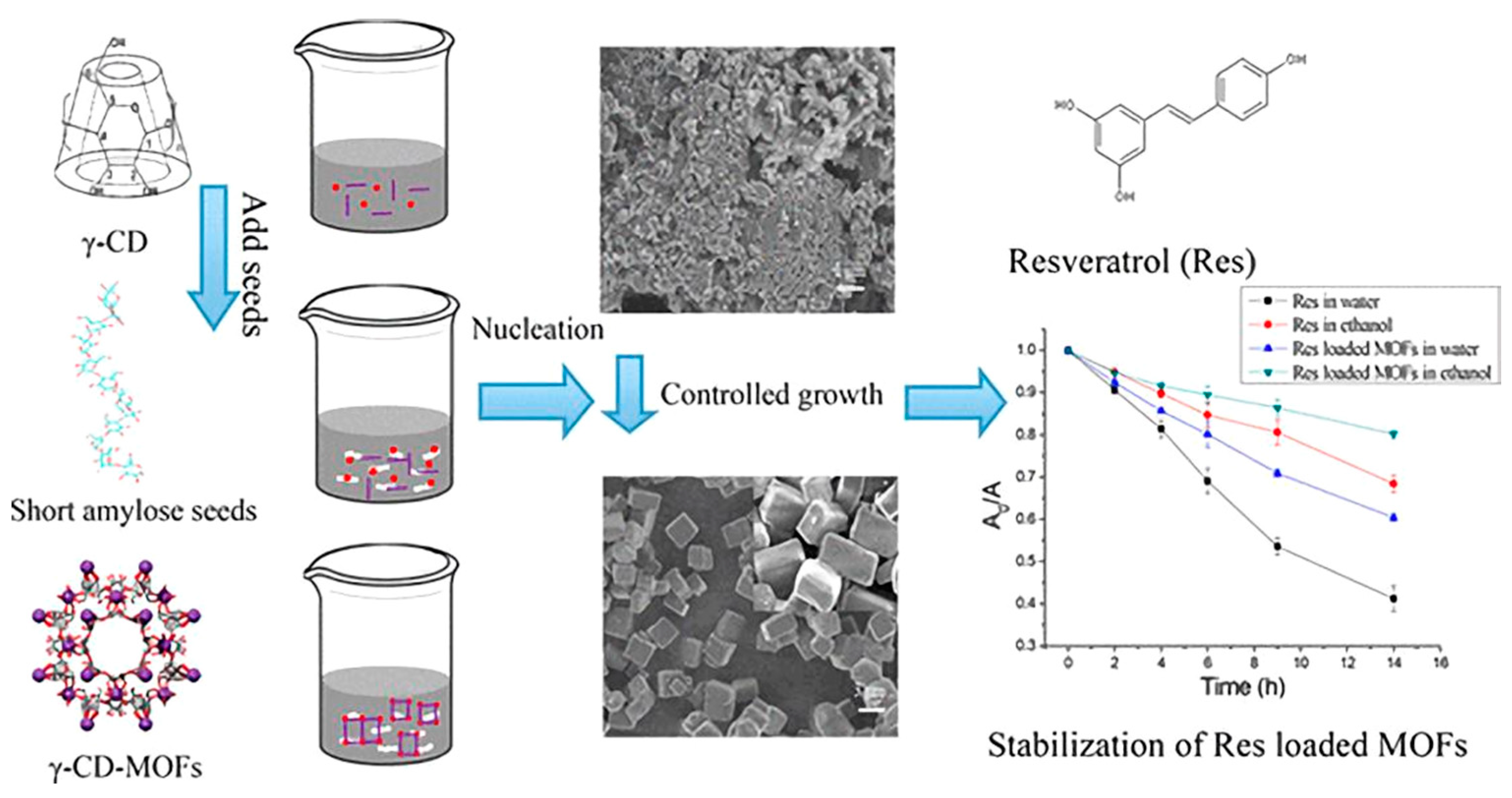 Molecules 25 04613 g007
