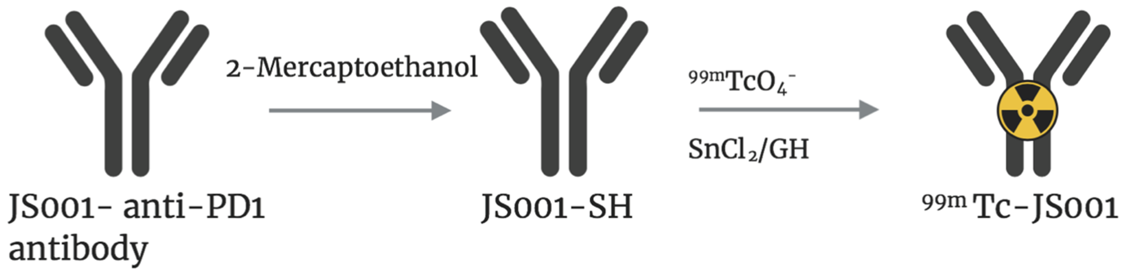 Molecules 25 04621 g001